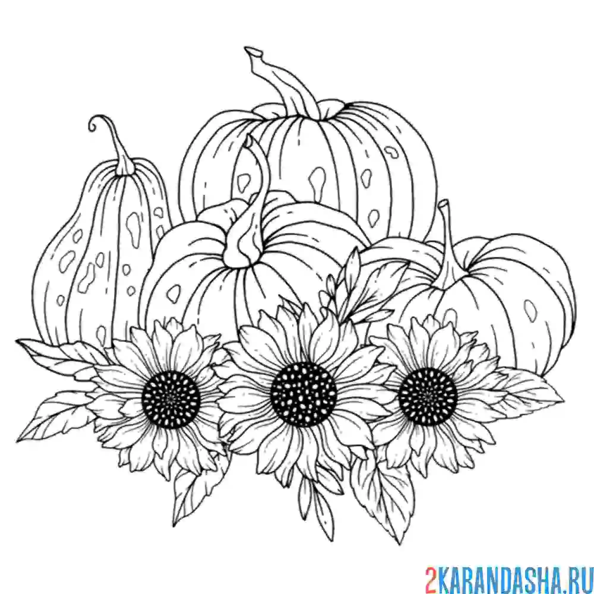Раскраска тыква в цветах