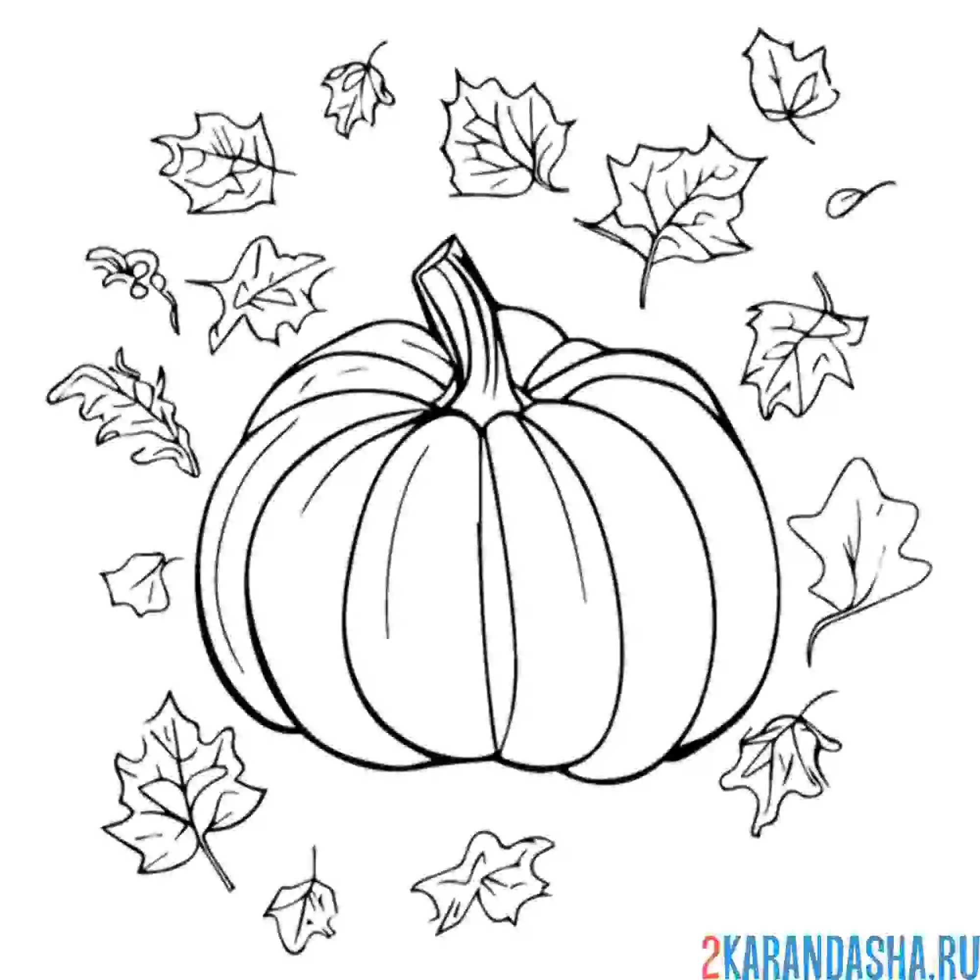 Раскраска тыква и осень
