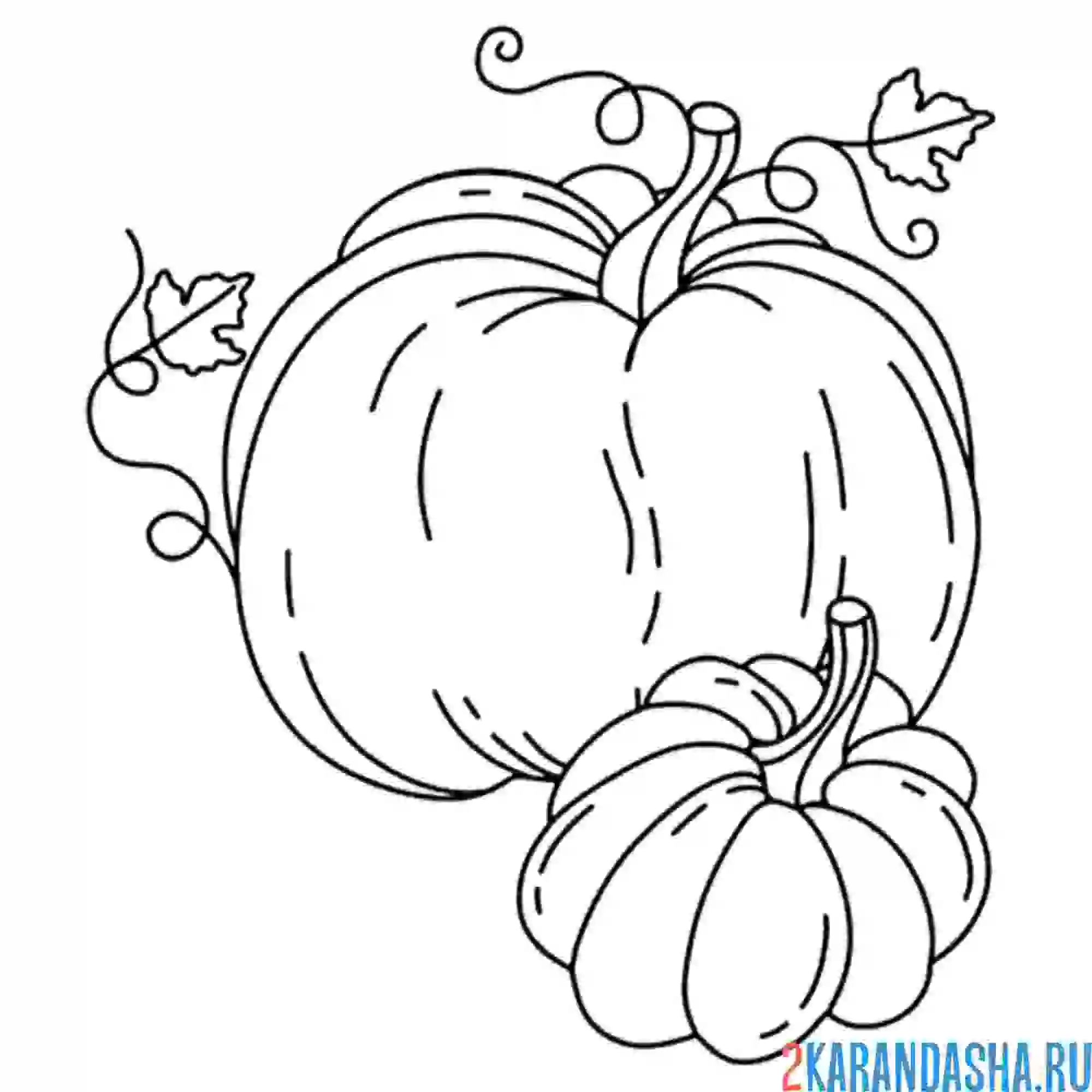 Раскраска две тыкыы