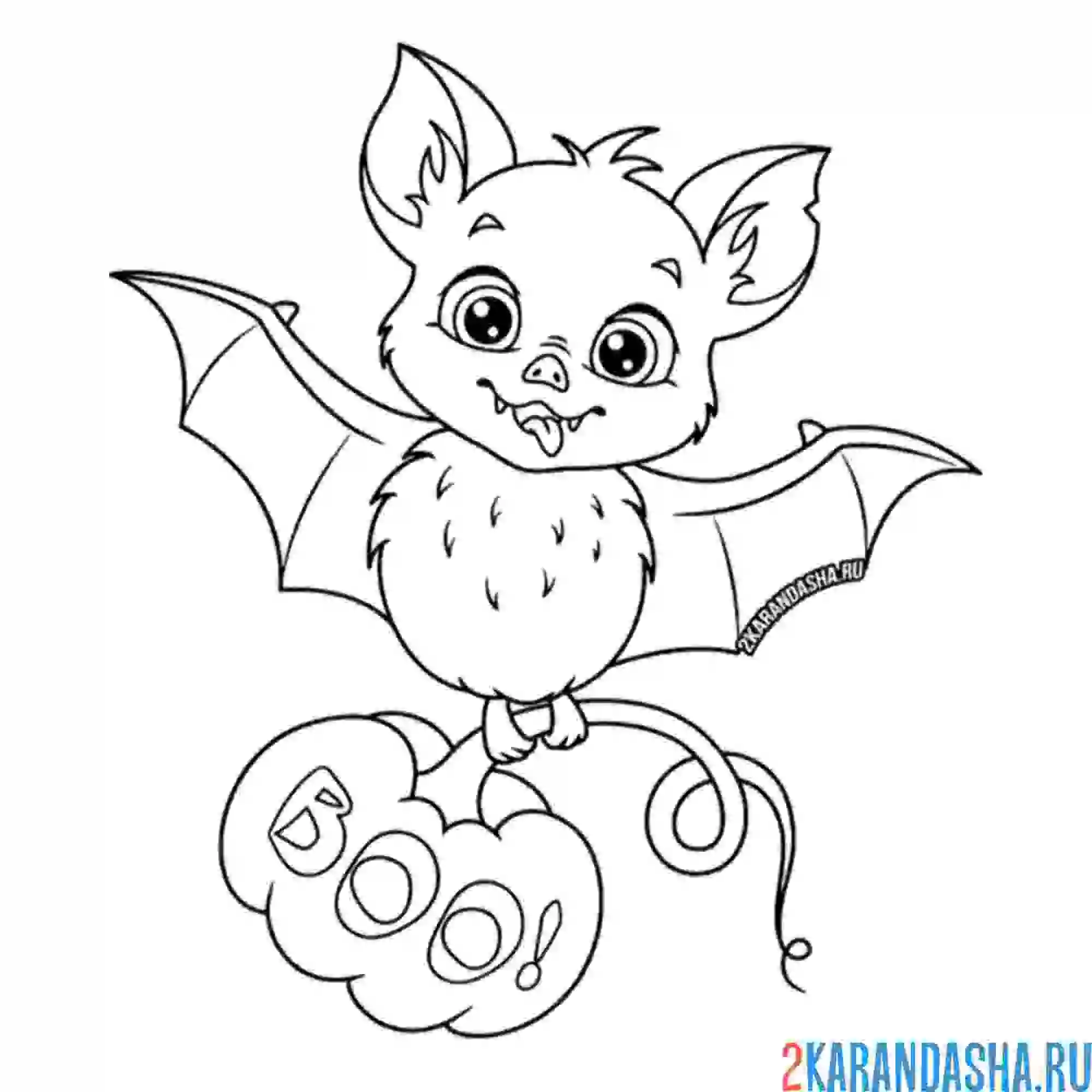 Раскраска летучая мышь и тыква