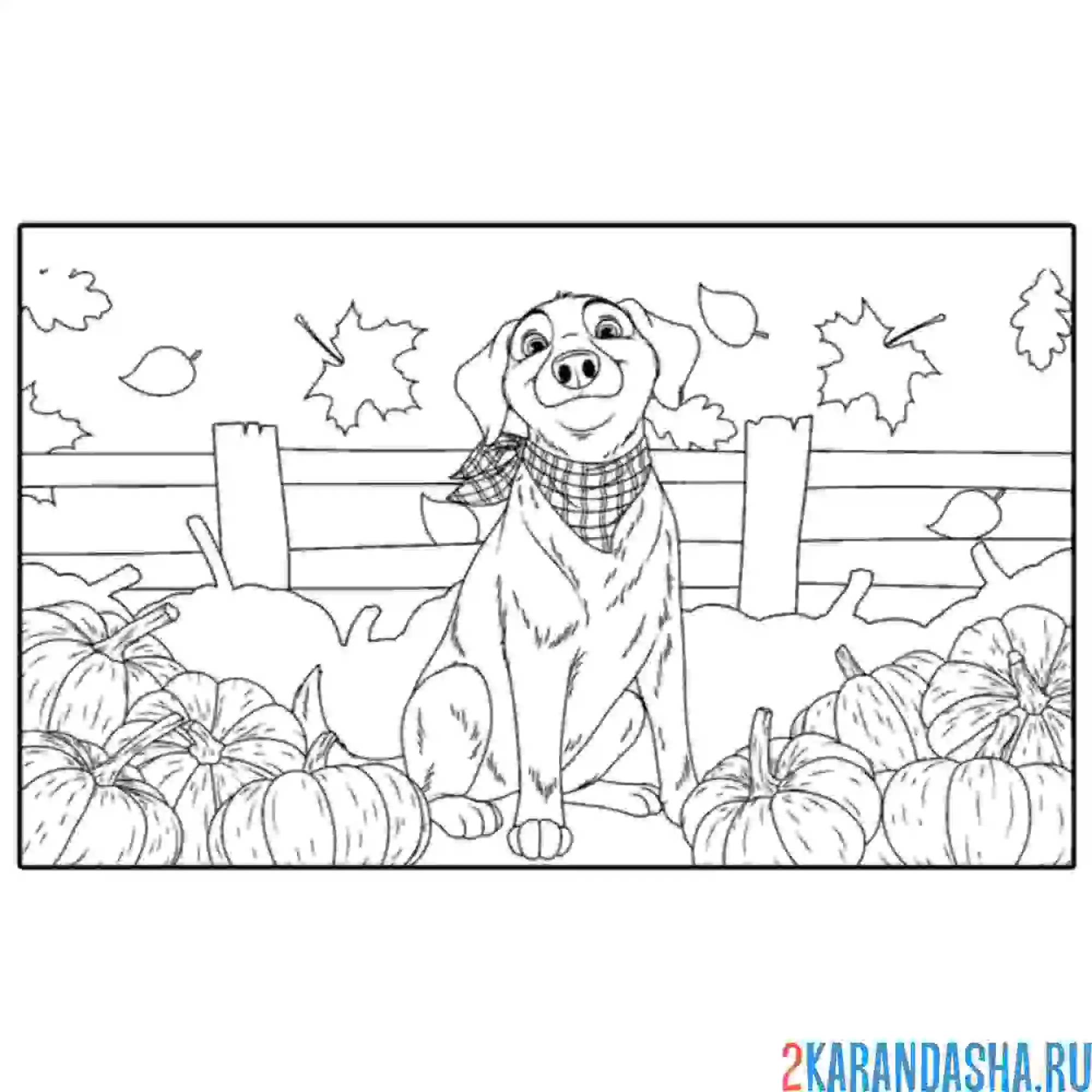 Раскраска собака в тыквах