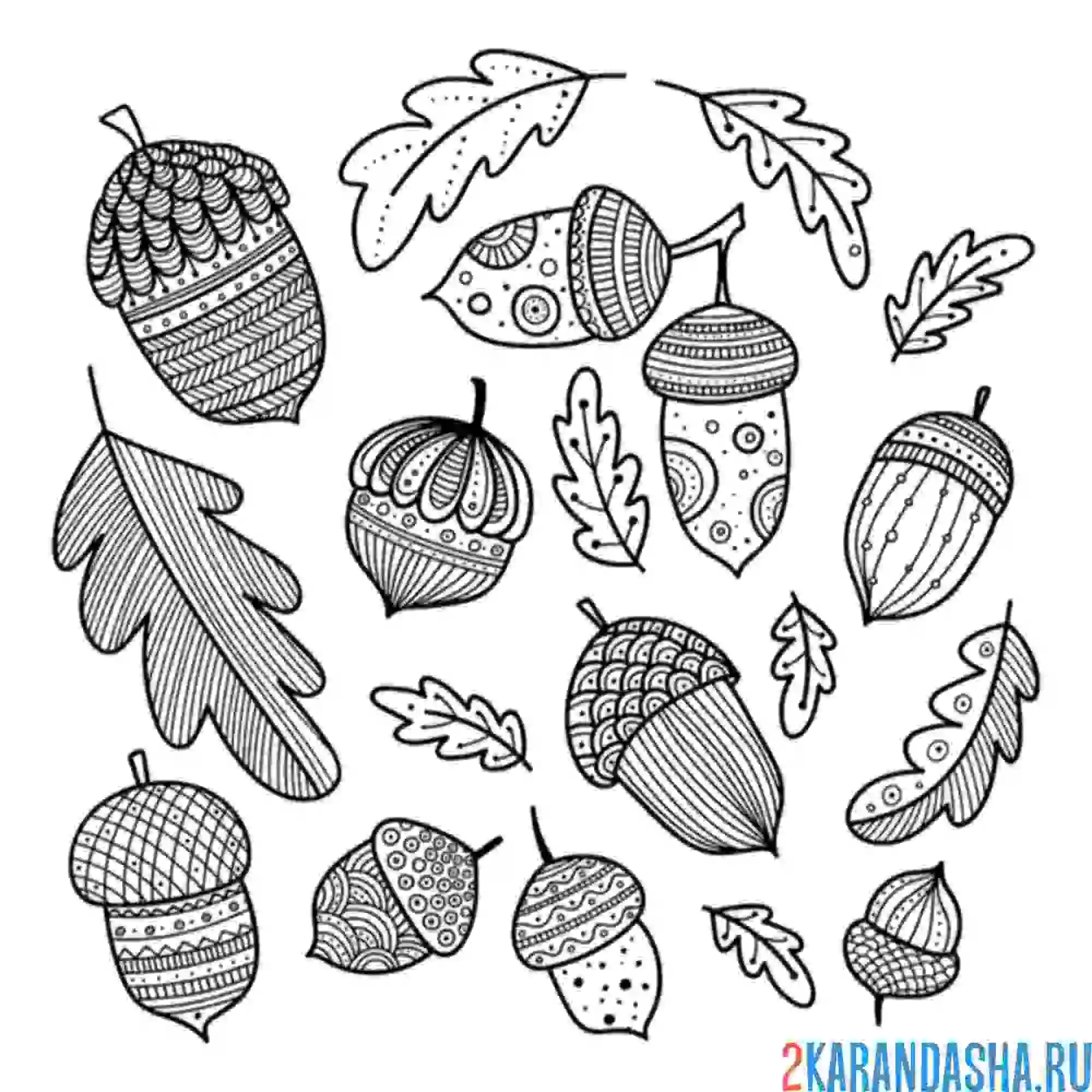 Раскраска осенние мотивы