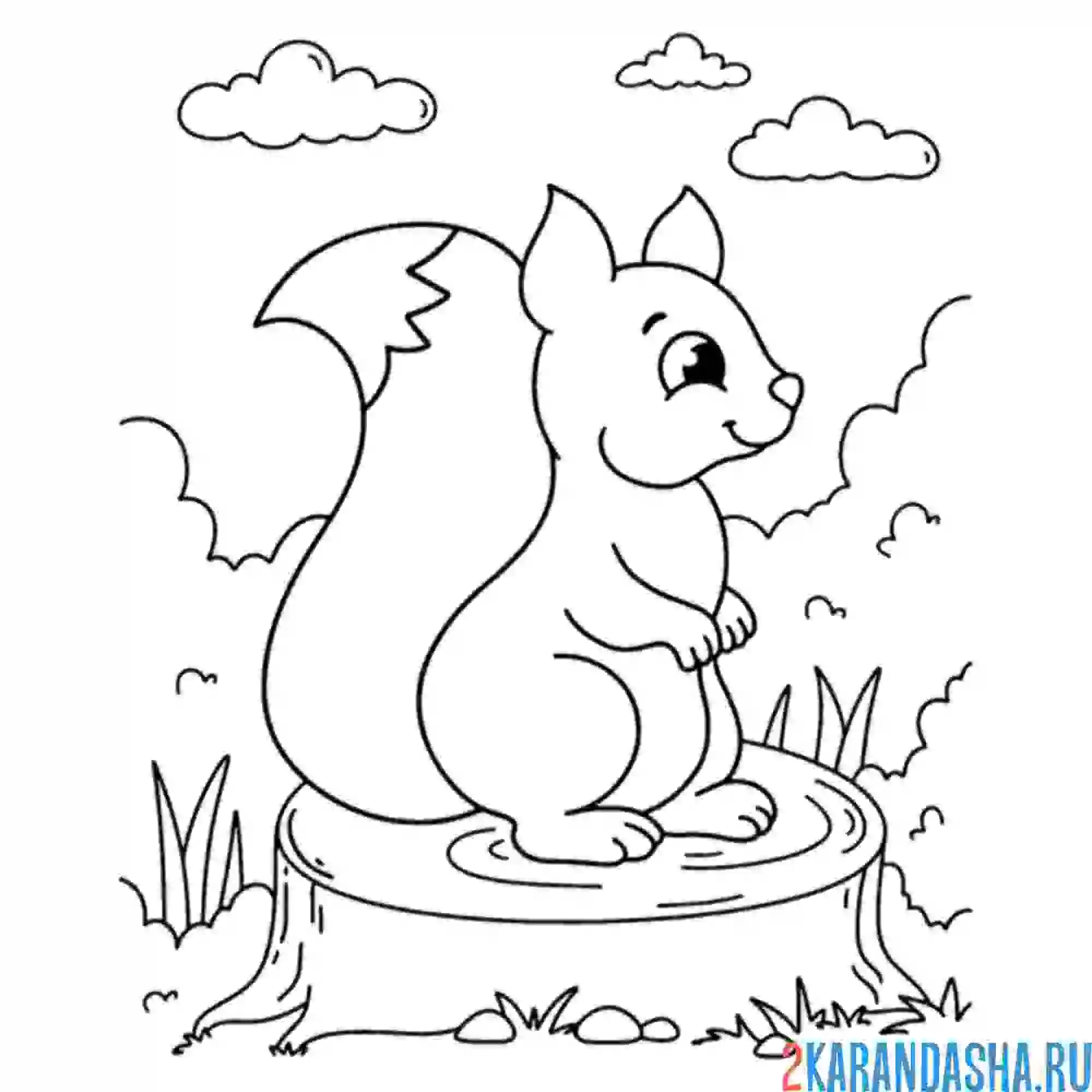 Раскраска белка осенью