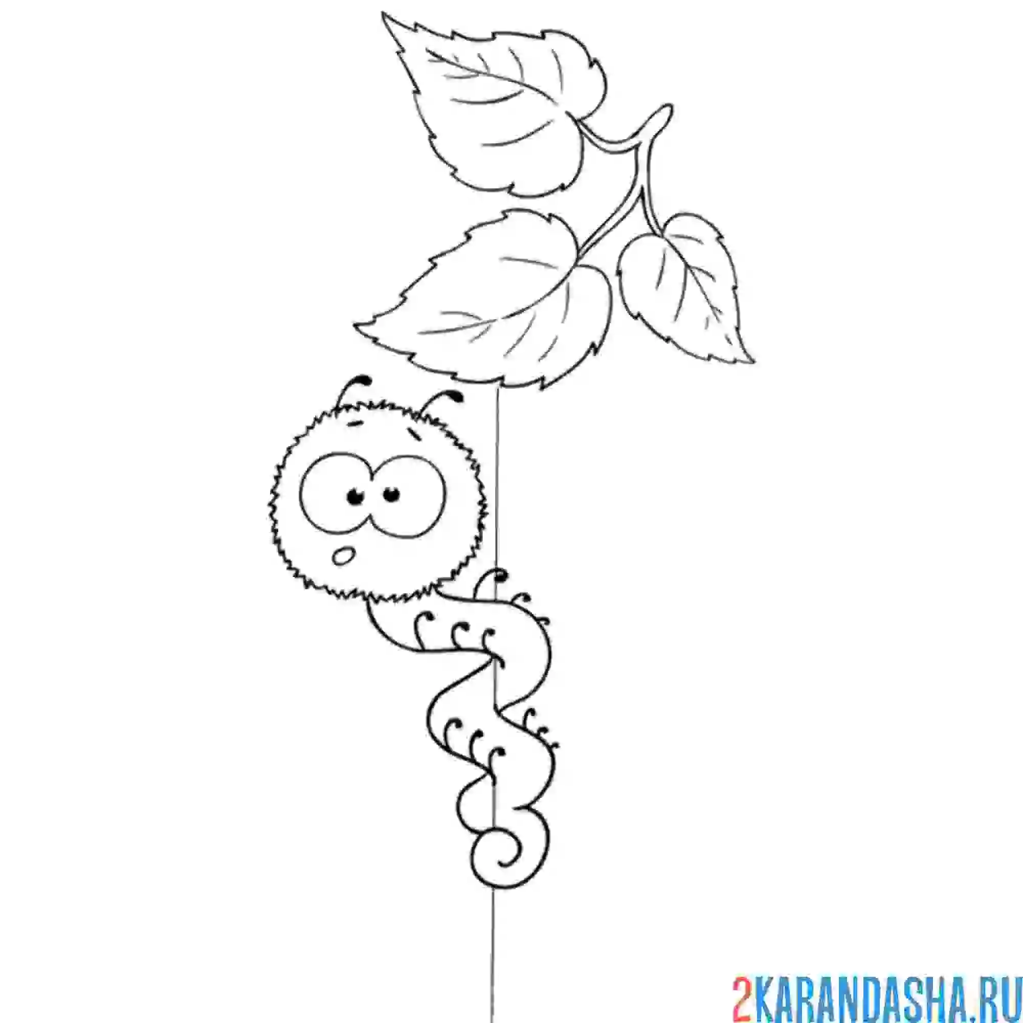 Раскраска гусеничка повисла