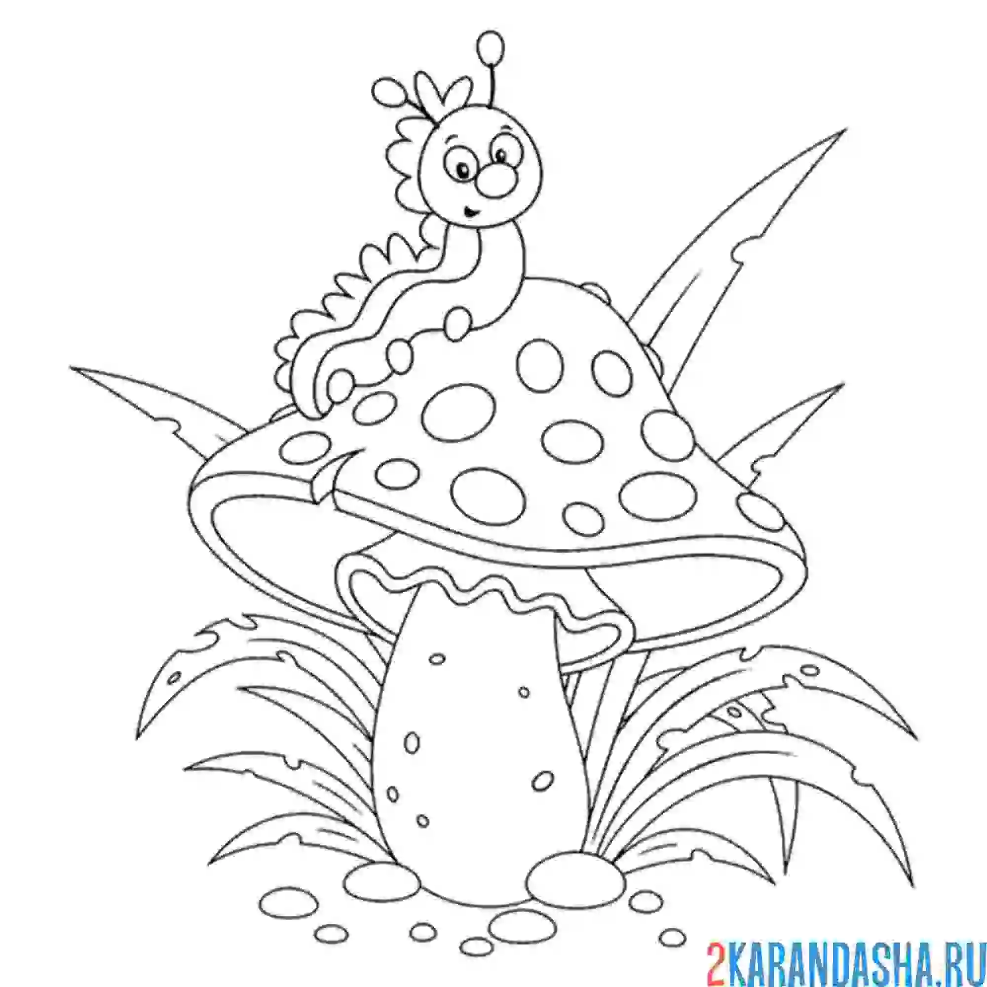 Раскраска гусеница на грибе