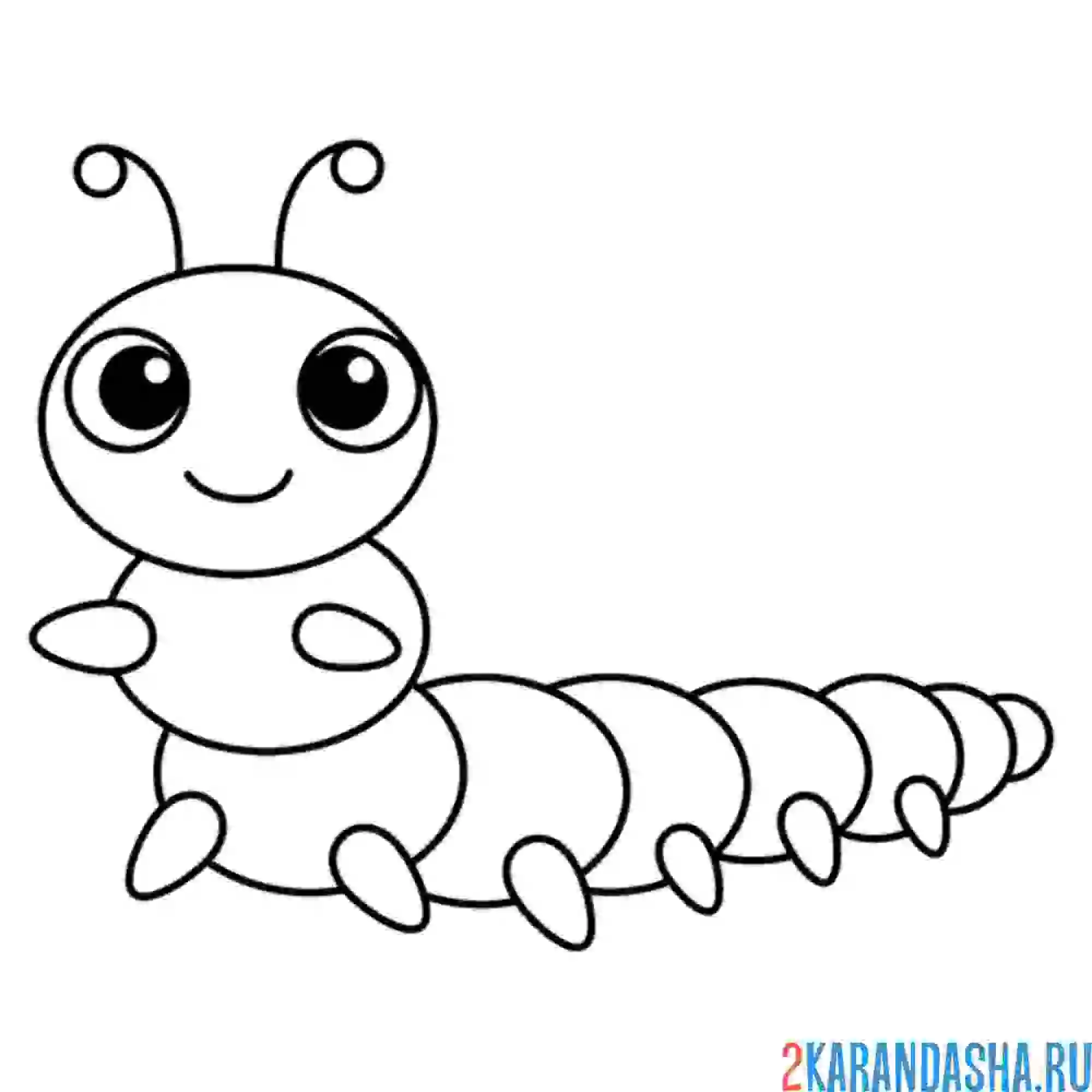 Раскраска гусеница