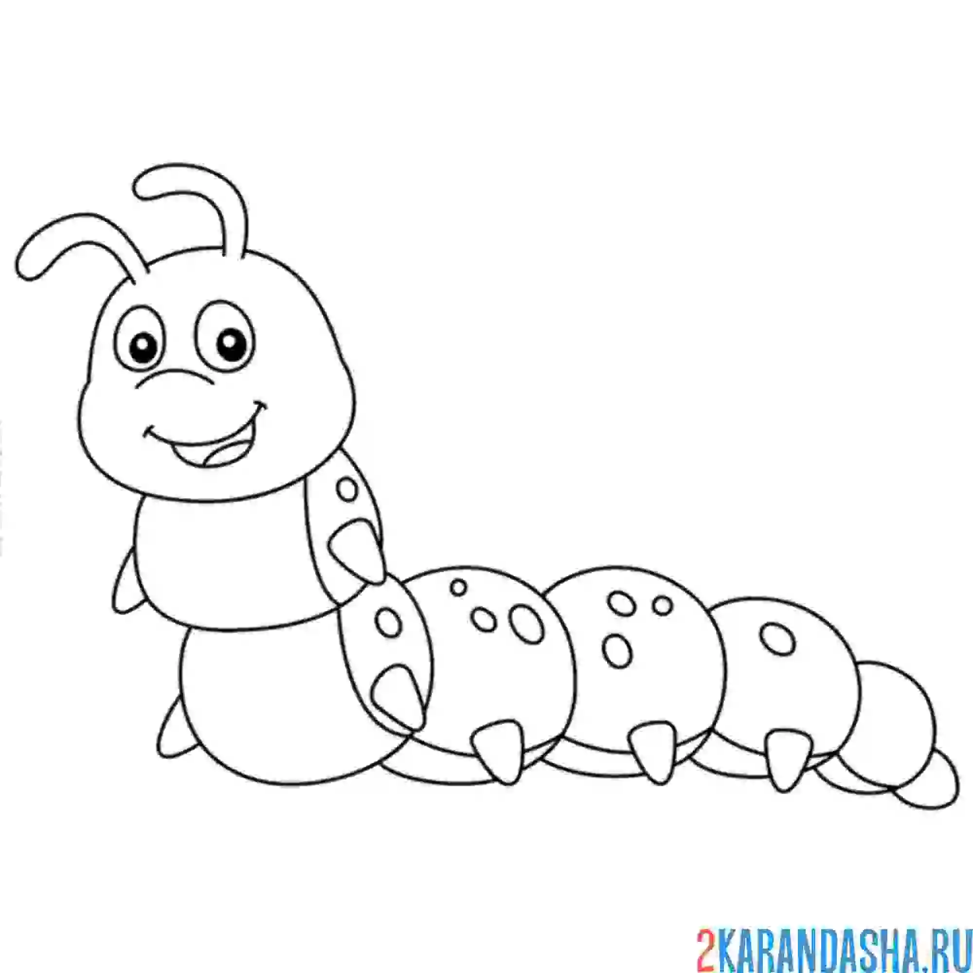 Раскраска гусеница ползает