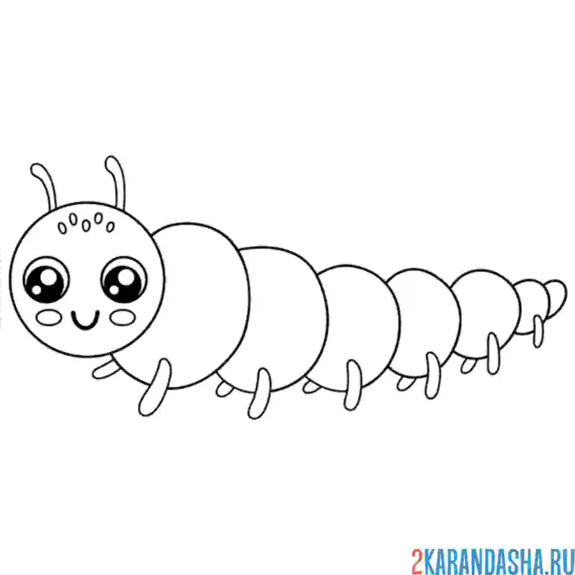 Раскраска простая гусеница