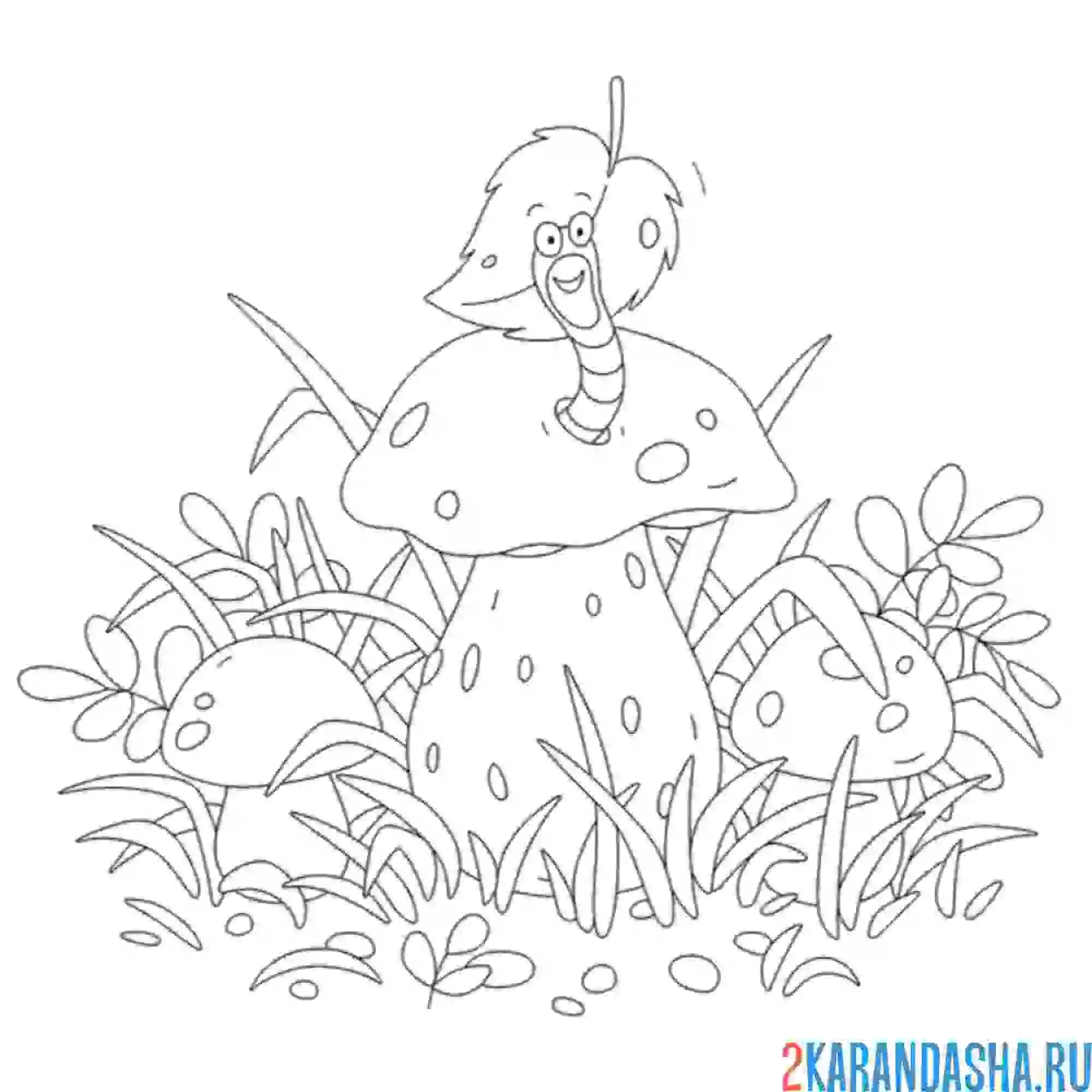 Раскраска гусеница съела гриб