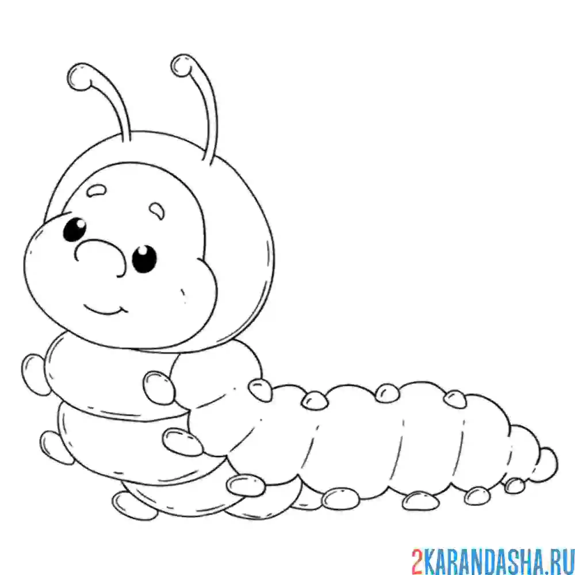 Раскраска забавная гусеница