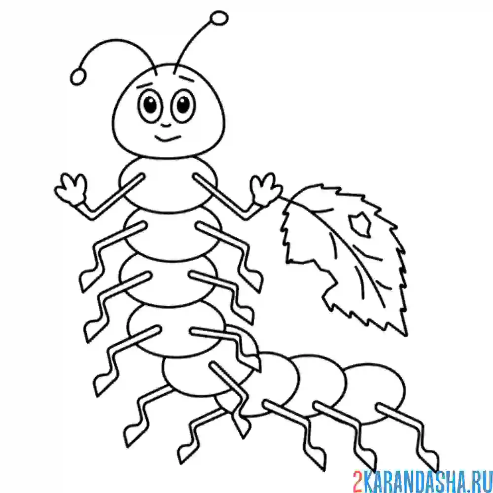 Раскраска гусеница с листком