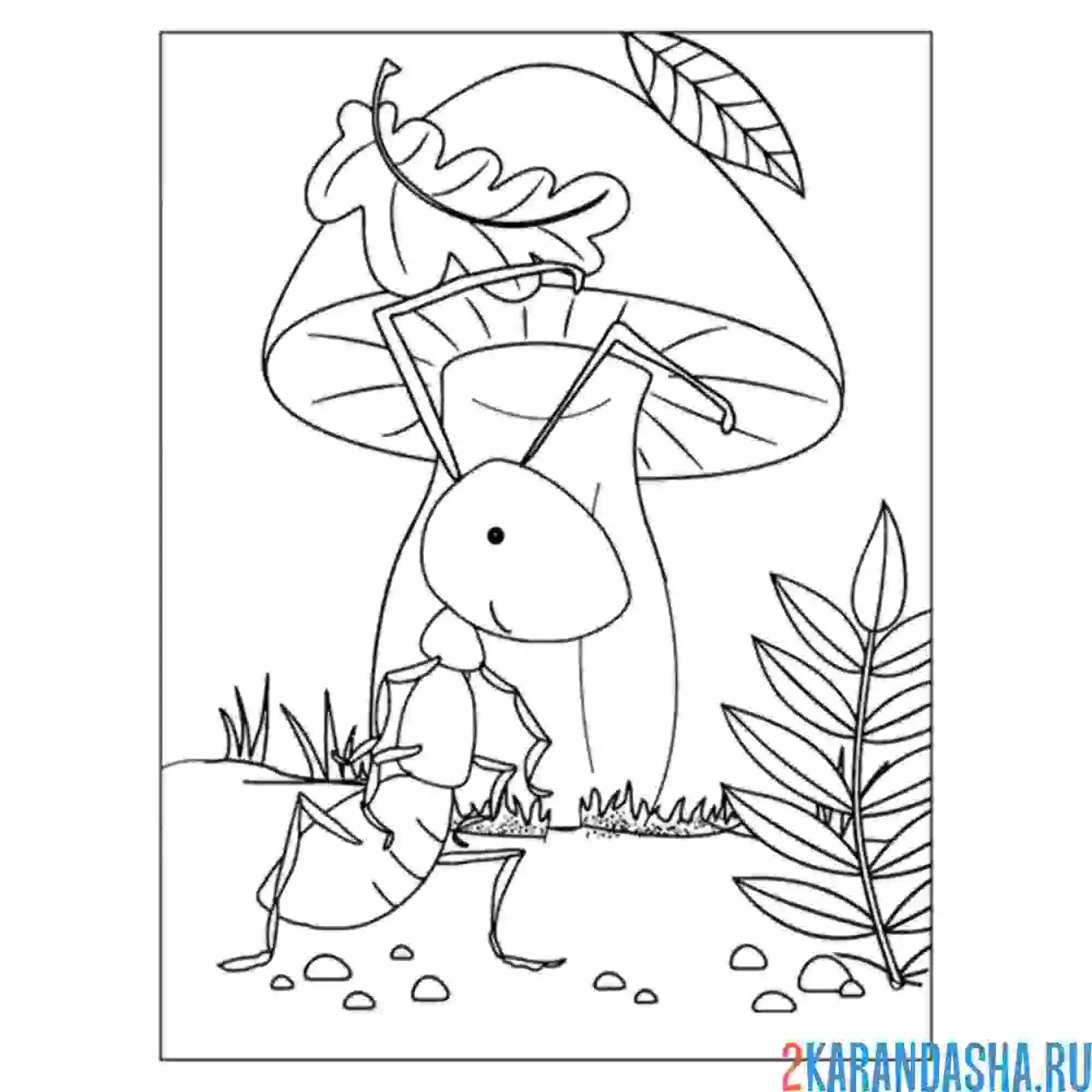 Раскраска муравей у гриба