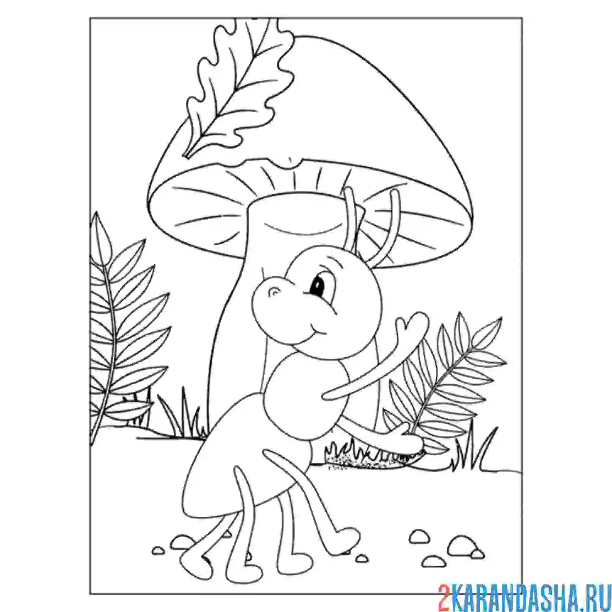 Раскраска муравей и гриб