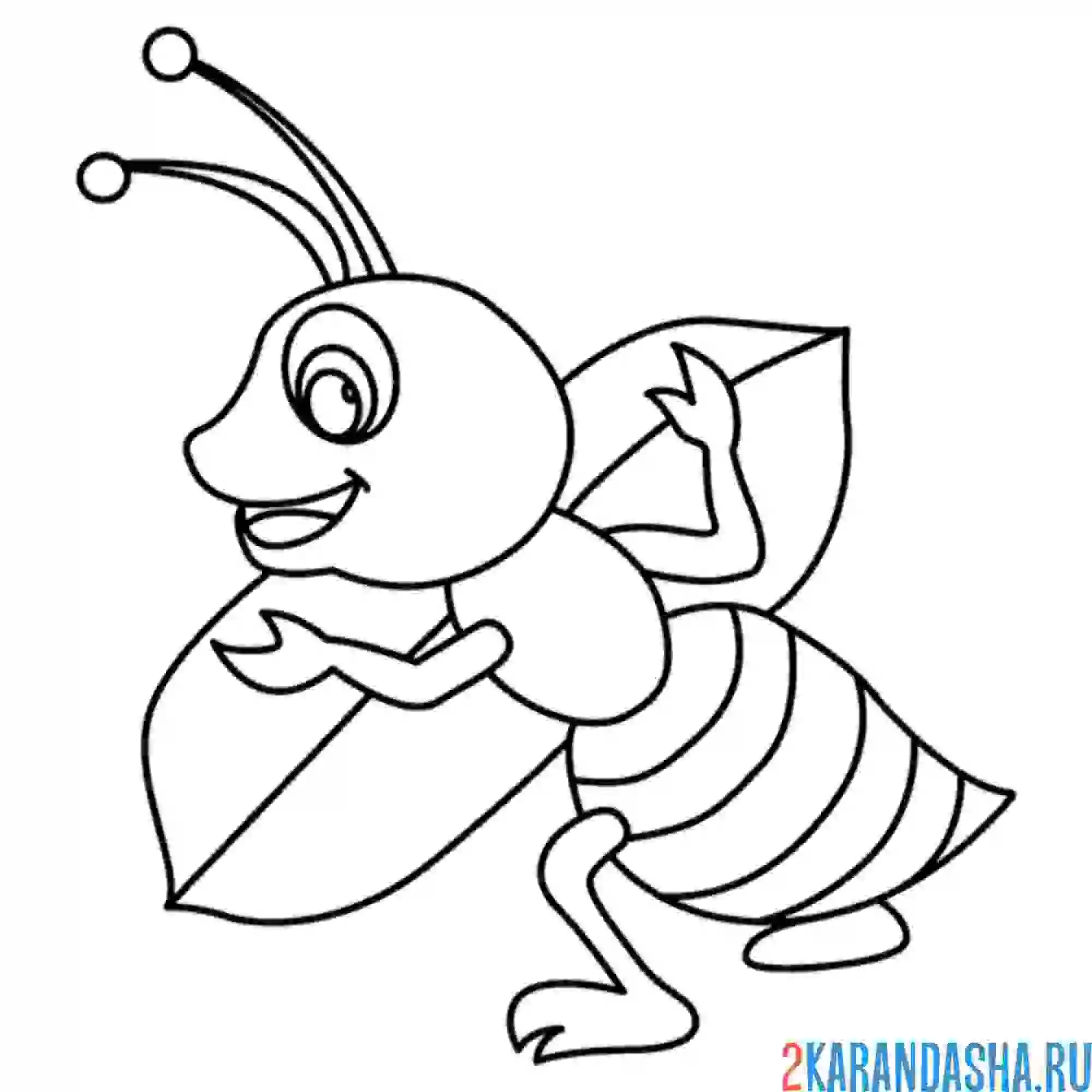 Раскраска муравей и листок