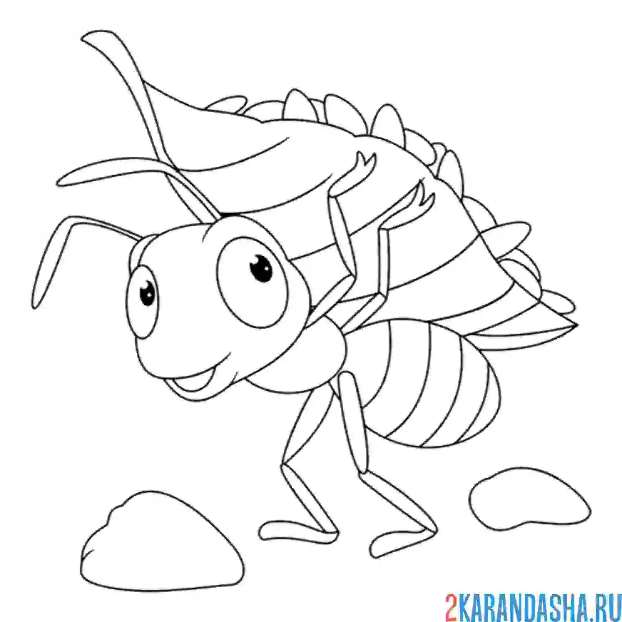 Раскраска муравей под листочком