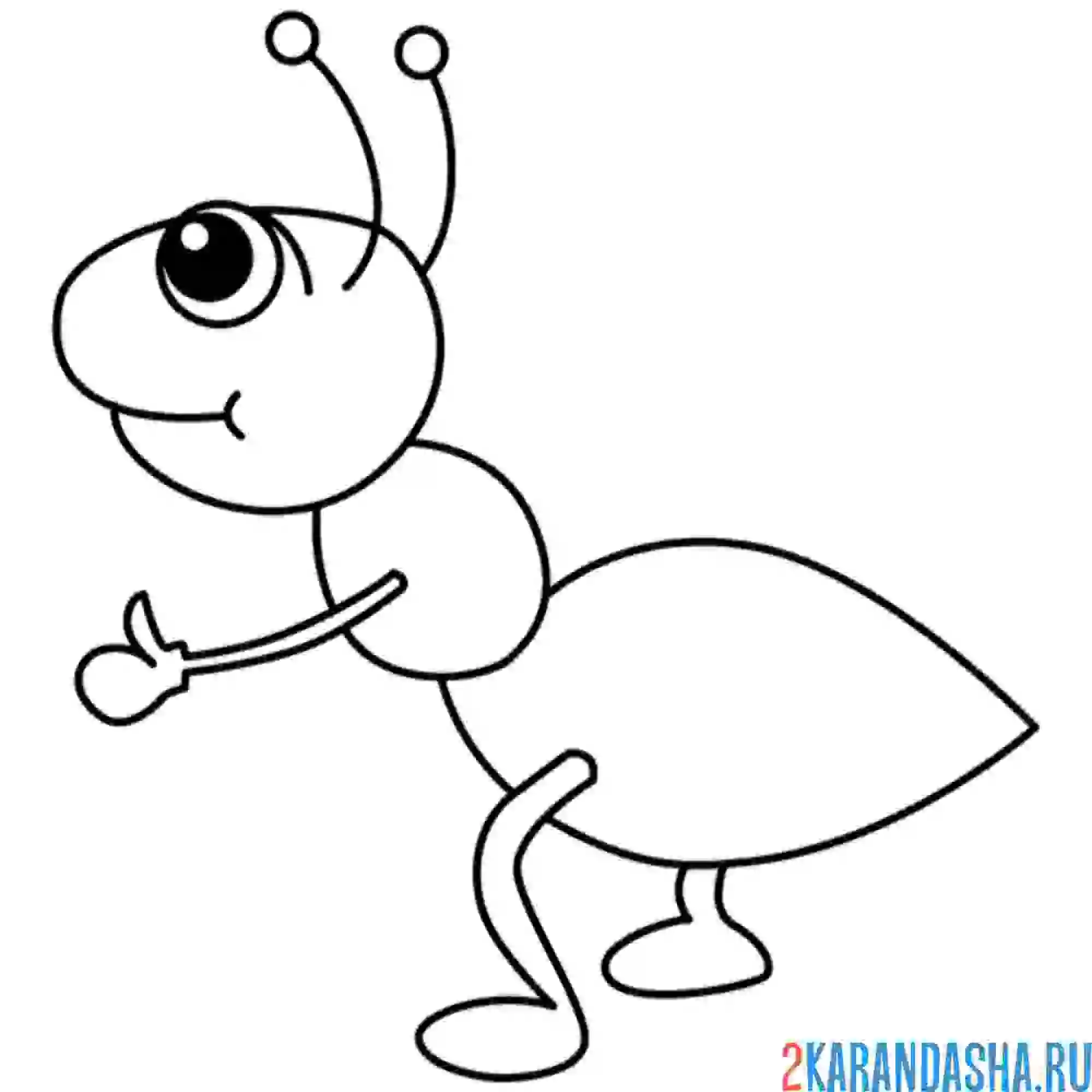 Раскраска муравей один