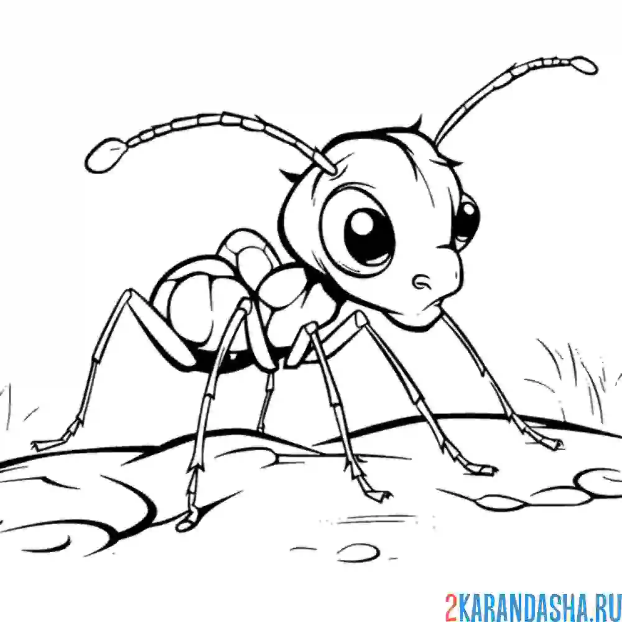 Раскраска муравей испуганный