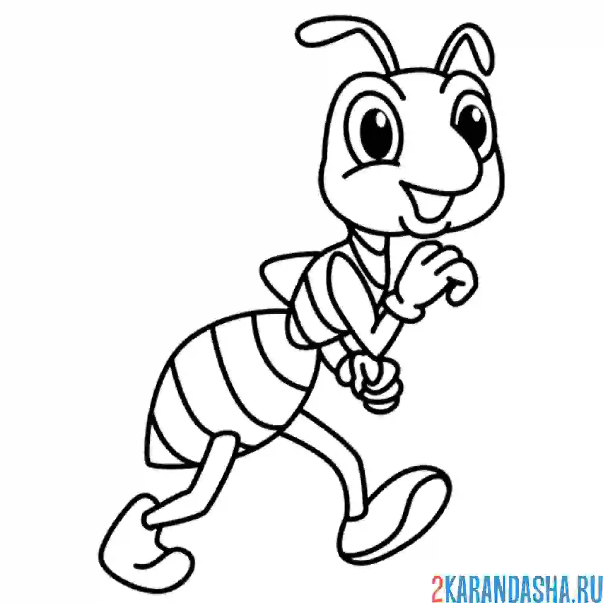 Раскраска муравей бежит