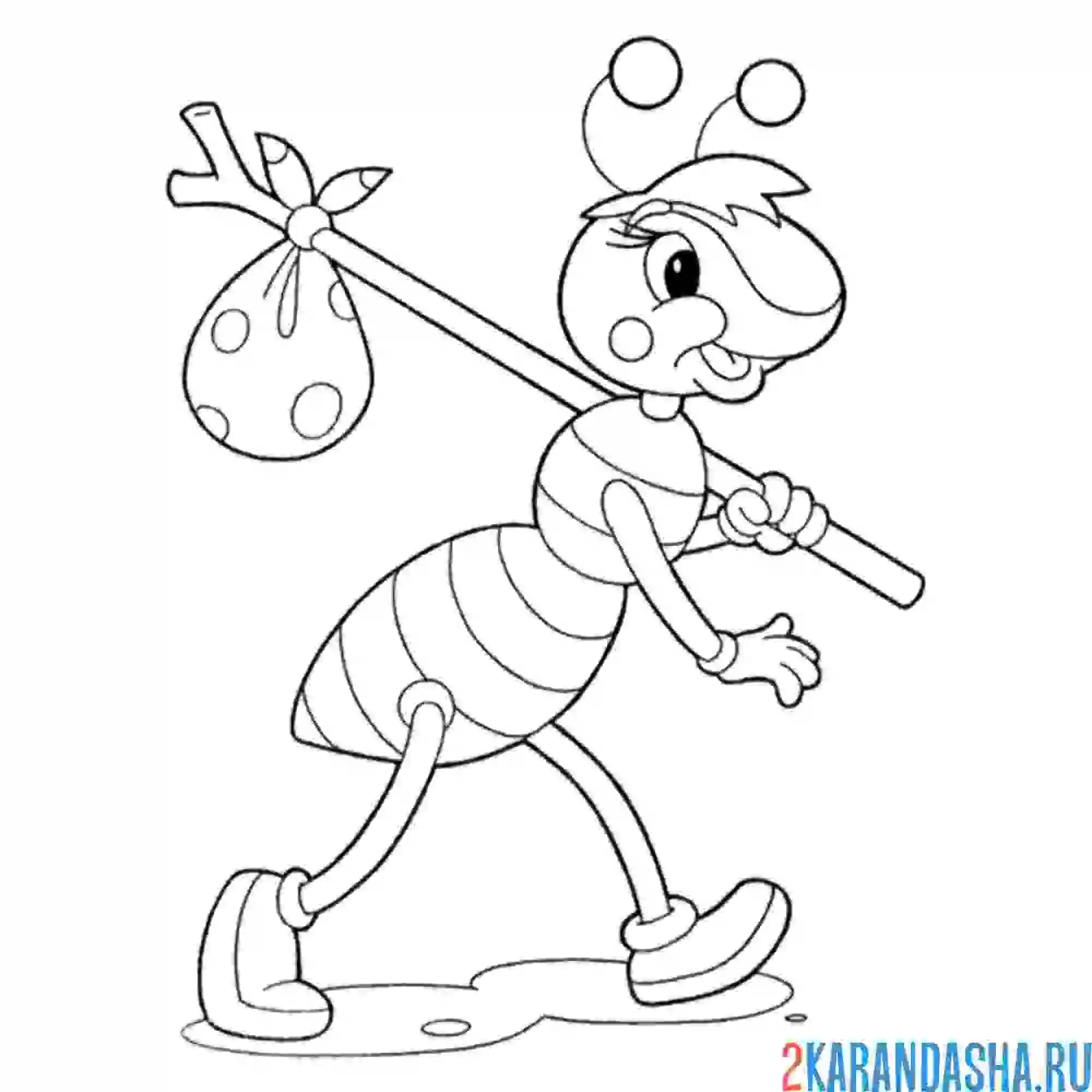 Раскраска муравей с узелком