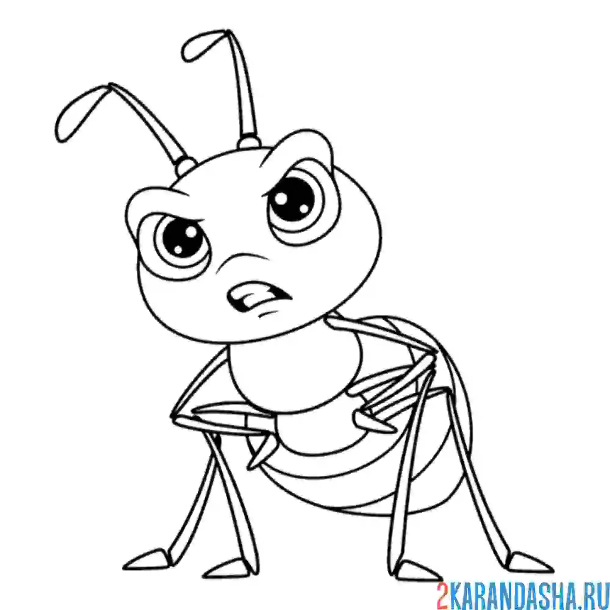 Раскраска муравей злой