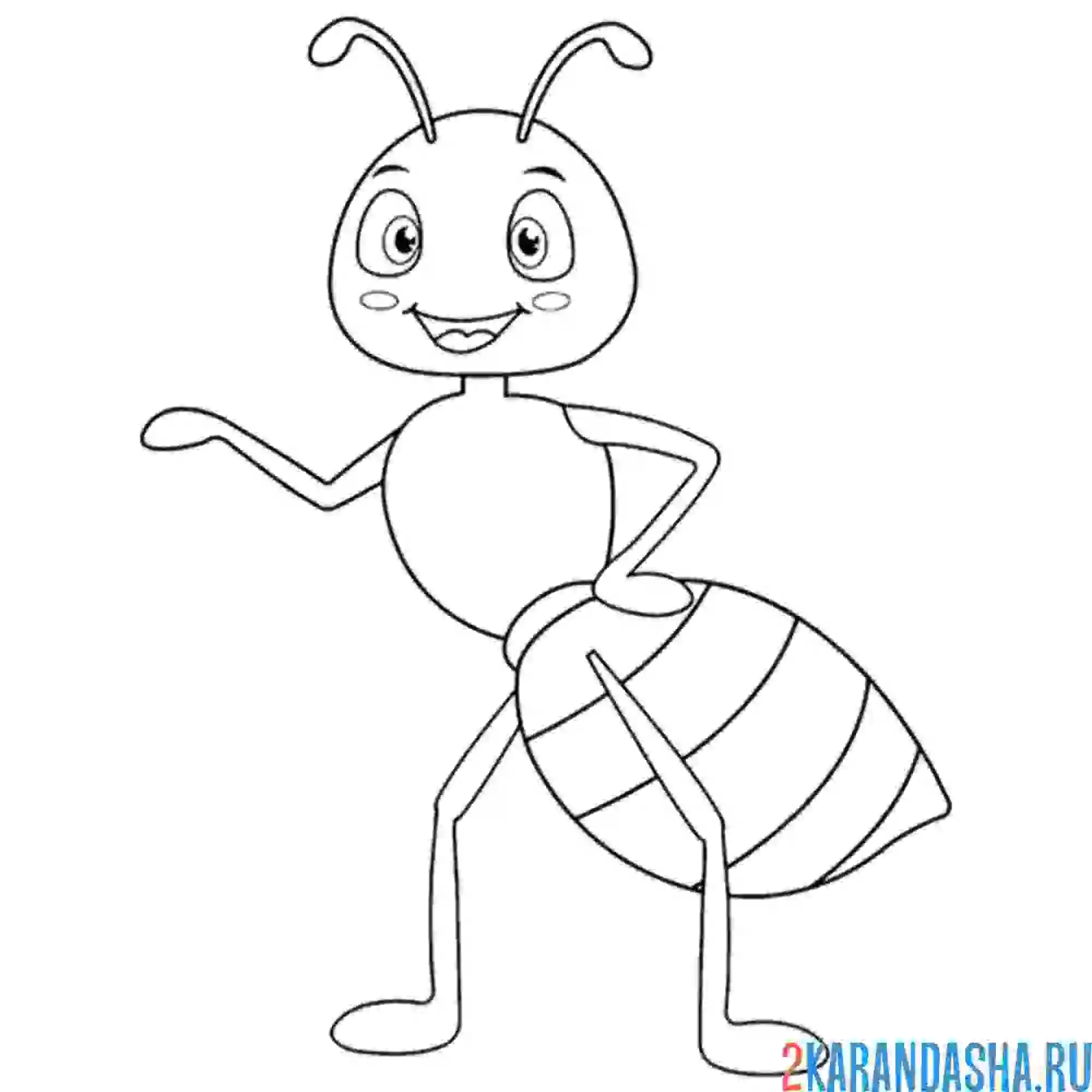 Раскраска муравей работник