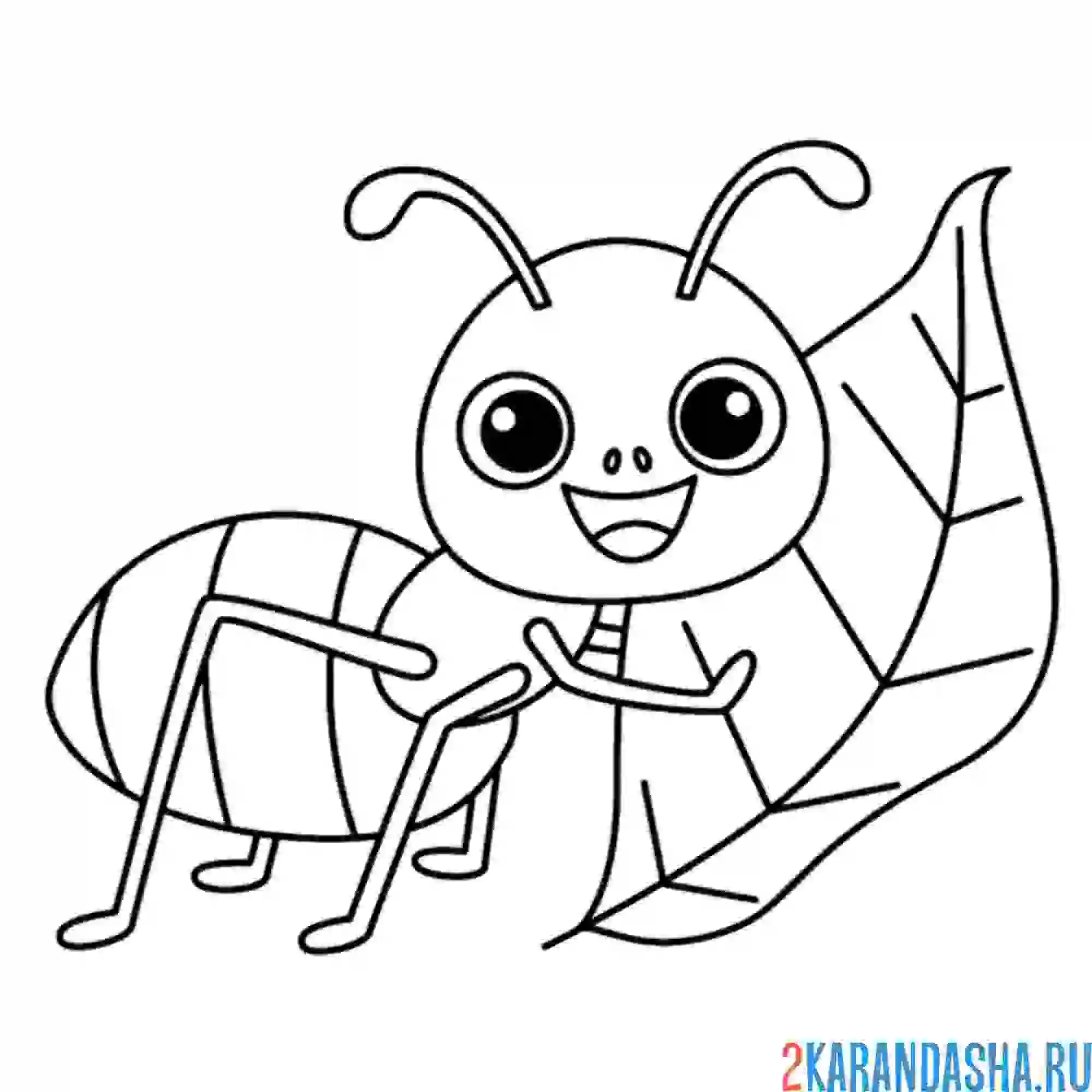 Раскраска муравей трудоголик