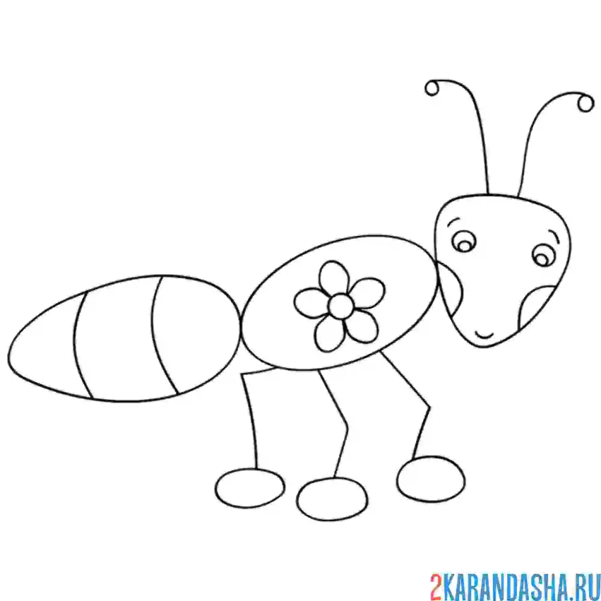 Раскраска муравей с тату