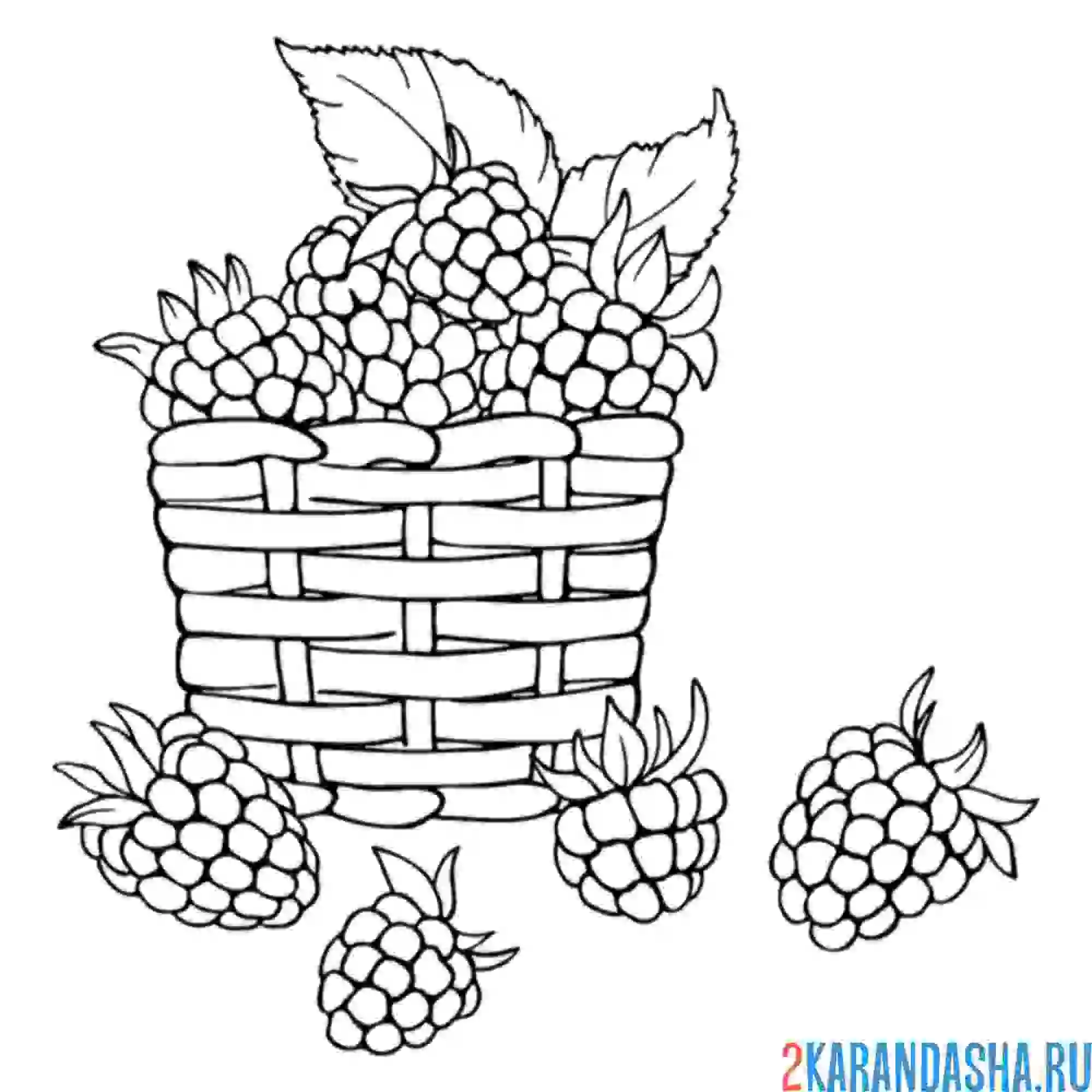 Раскраска малина в лукошке
