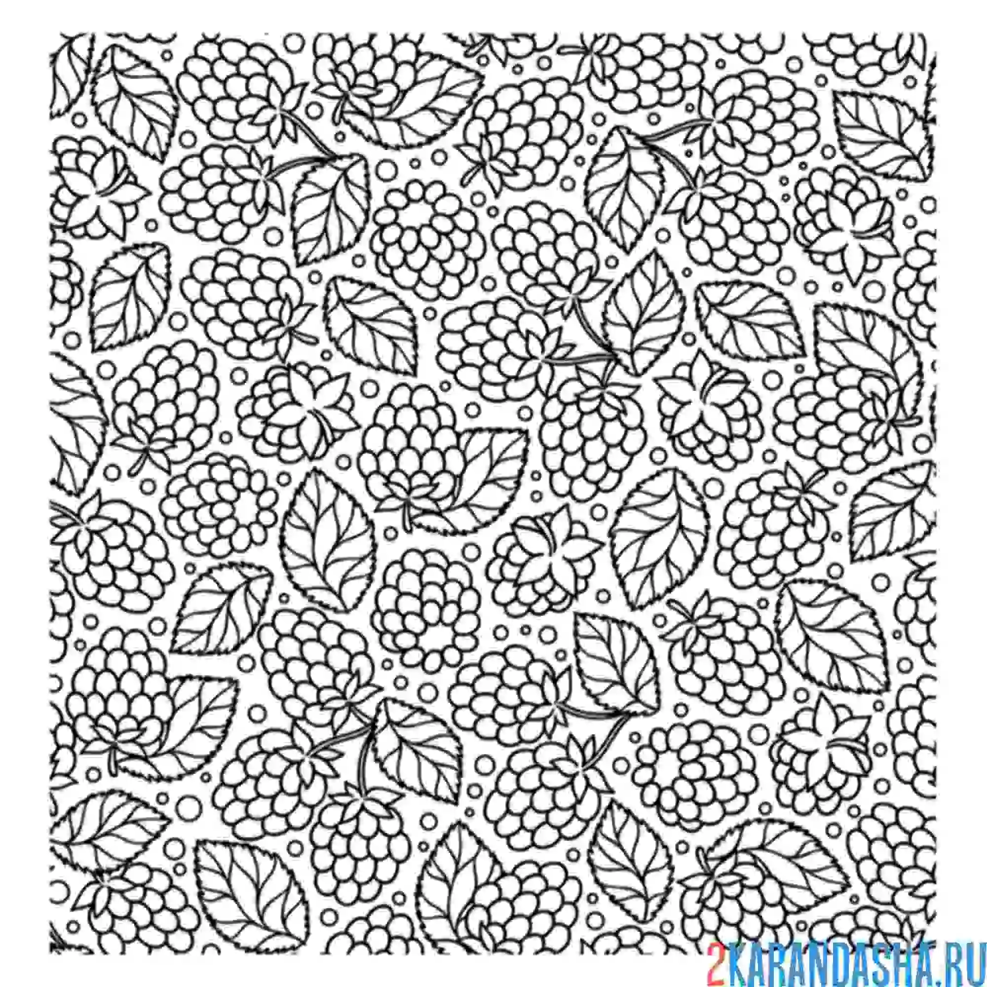 Раскраска малины задний фон