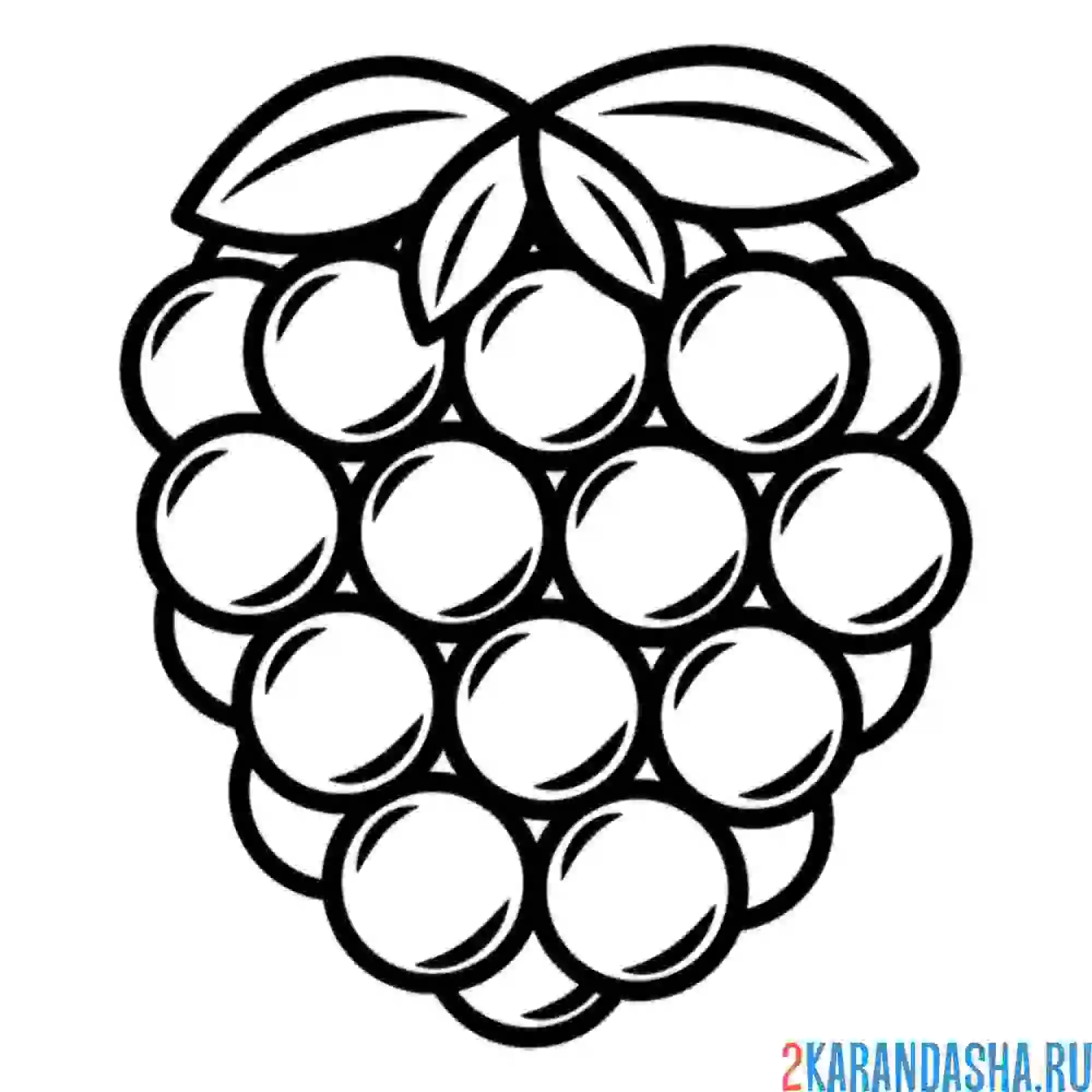 Раскраска большая малина