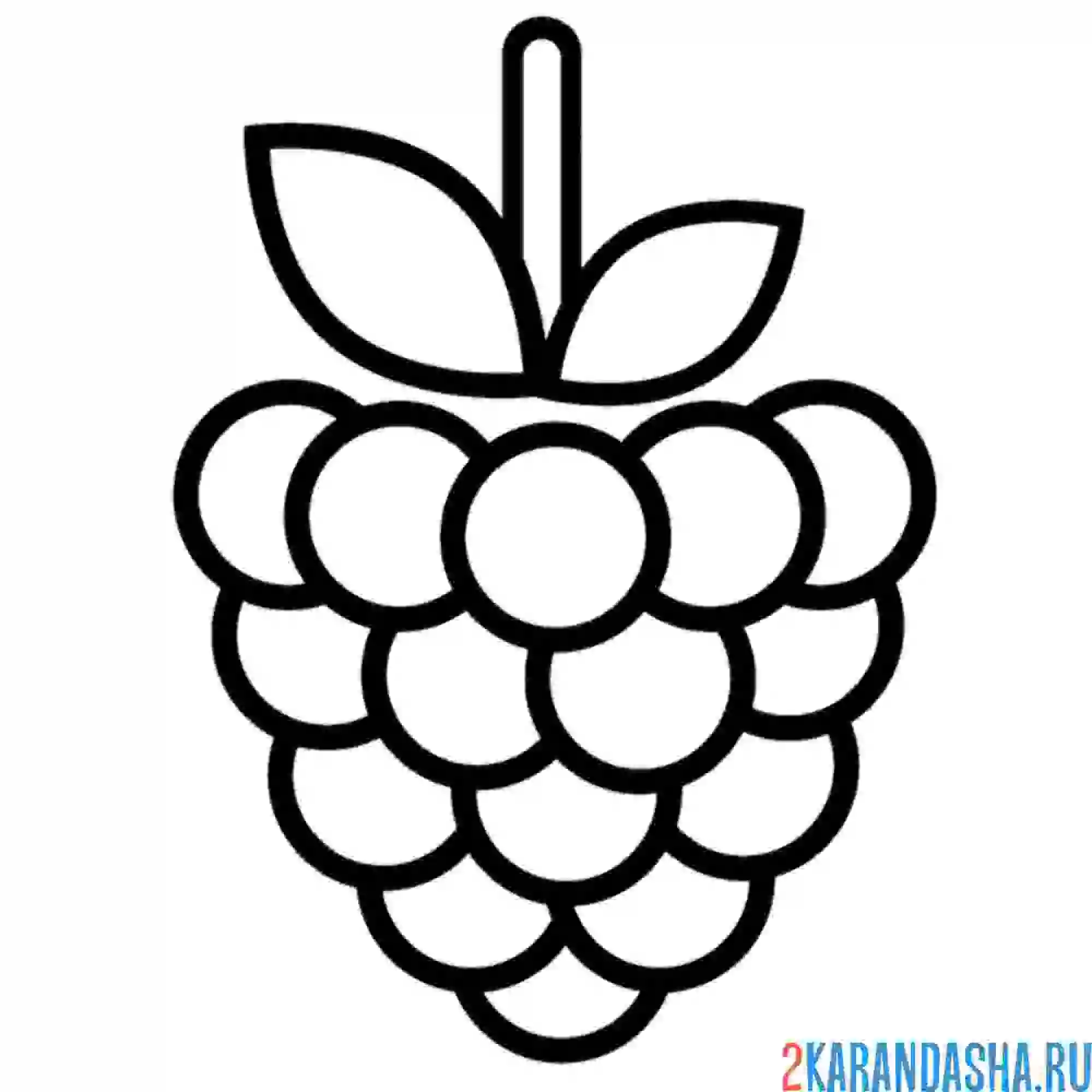 Раскраска малина для малышей