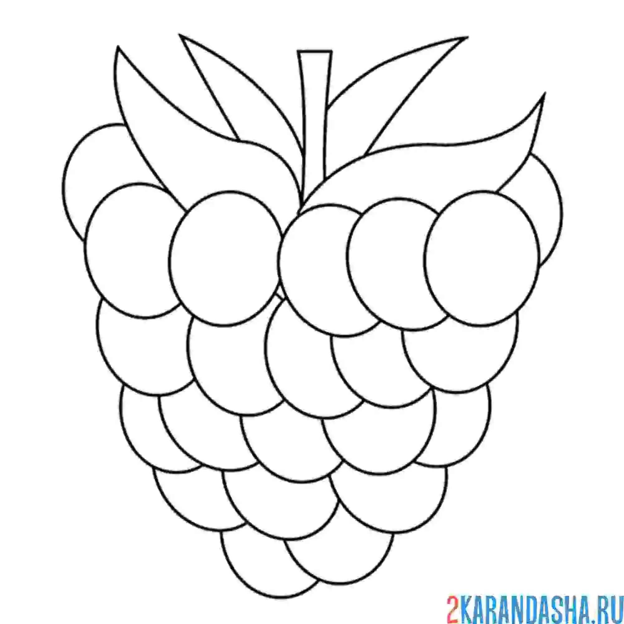 Раскраска малина простой рисунок