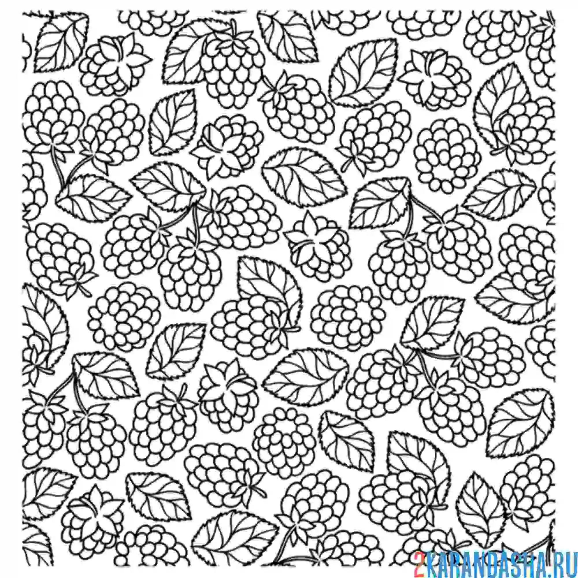 Раскраска малина обои