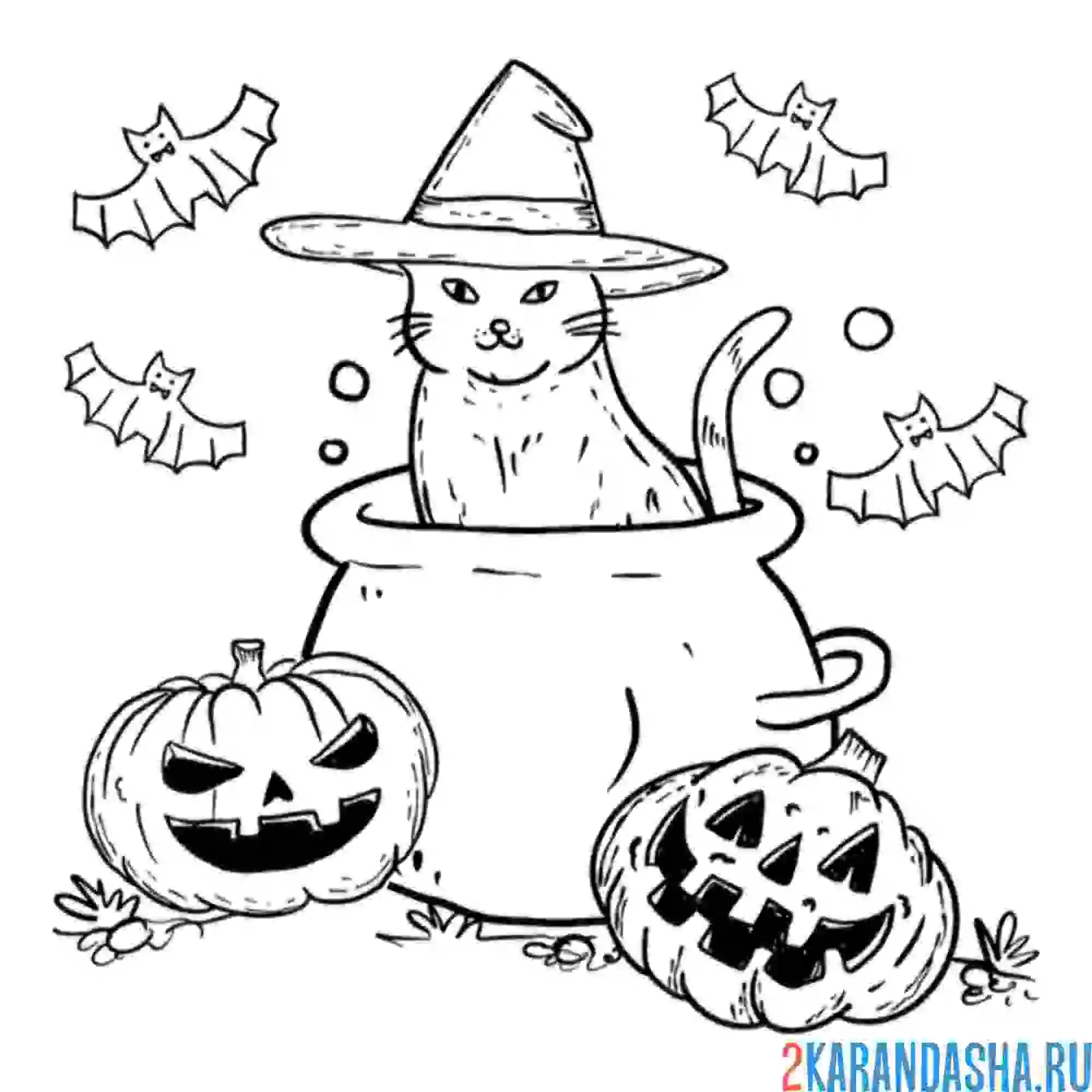 Раскраска котик-ведьма