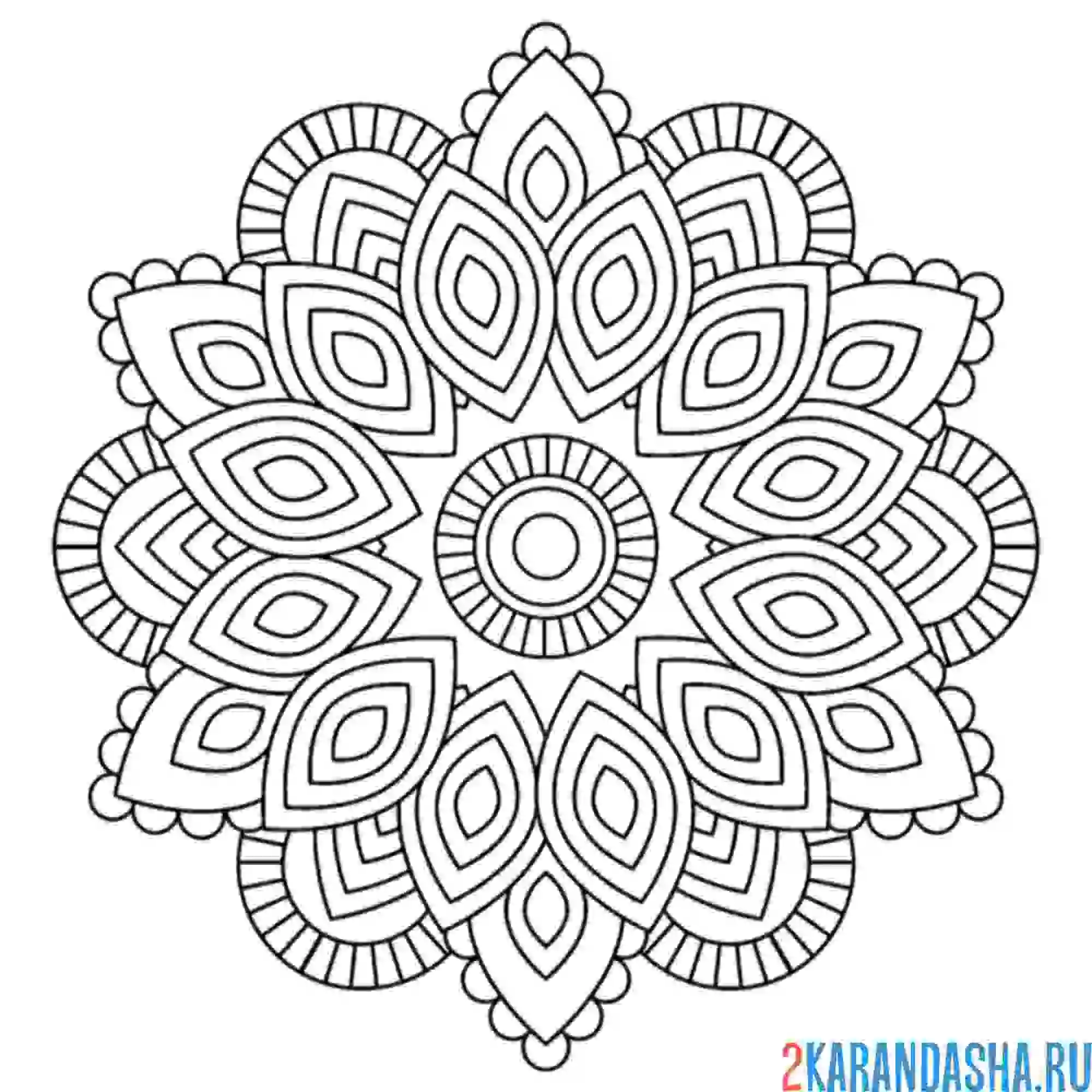 Раскраска мандала новый круг