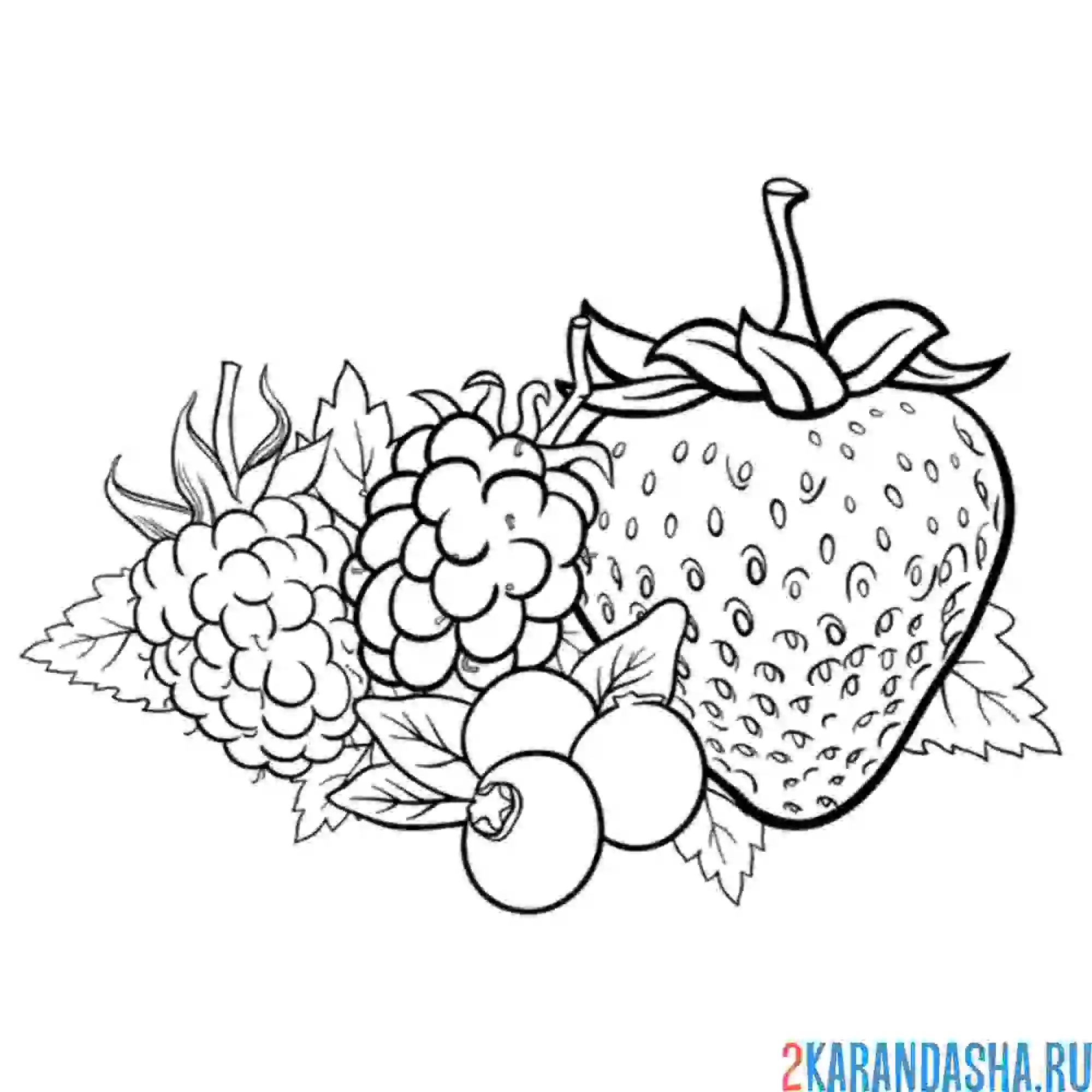 Раскраска клубника, малина и ягоды
