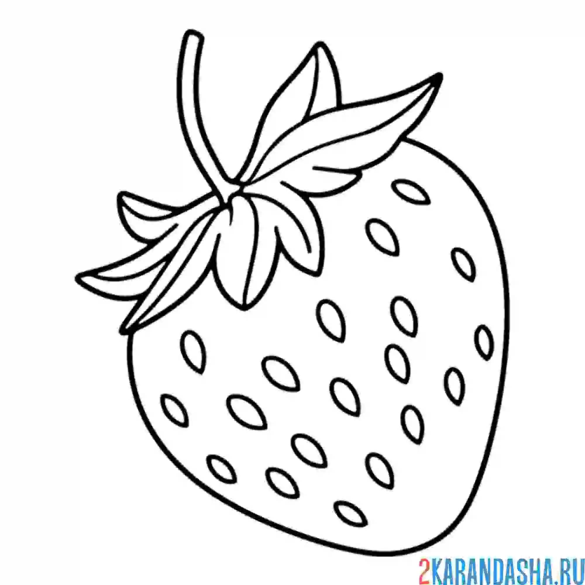 Раскраска клубника с семечками