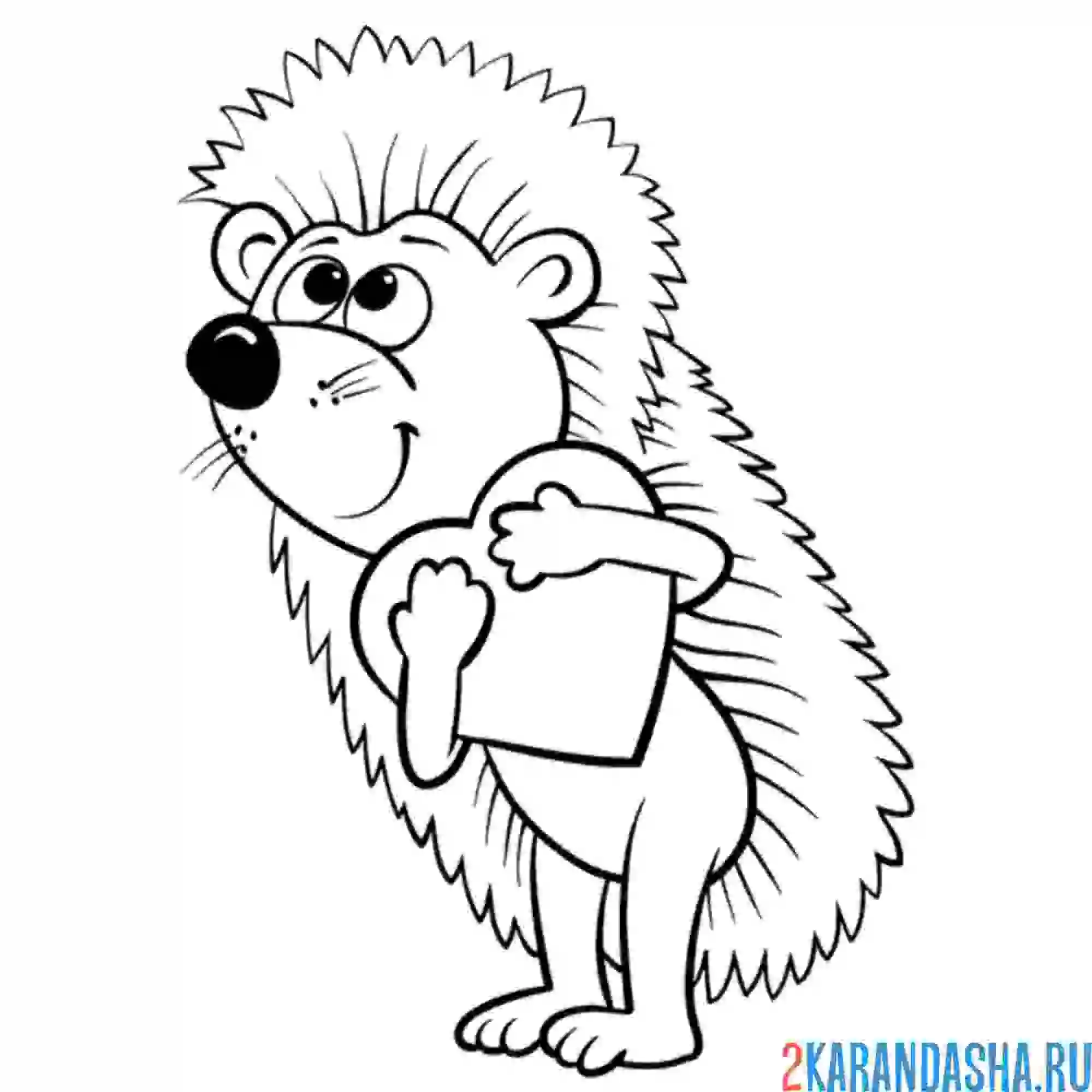 Раскраска ежик с сердечком