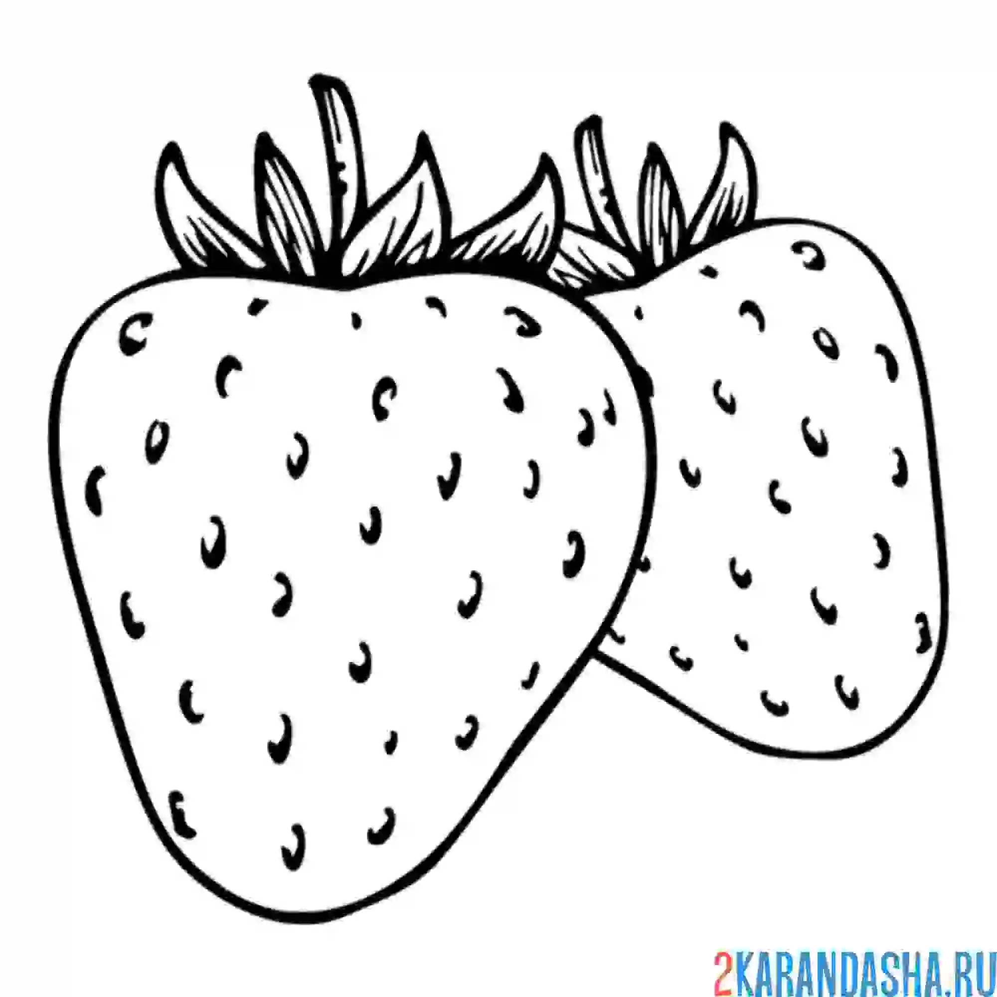 Раскраска клубника съедобная
