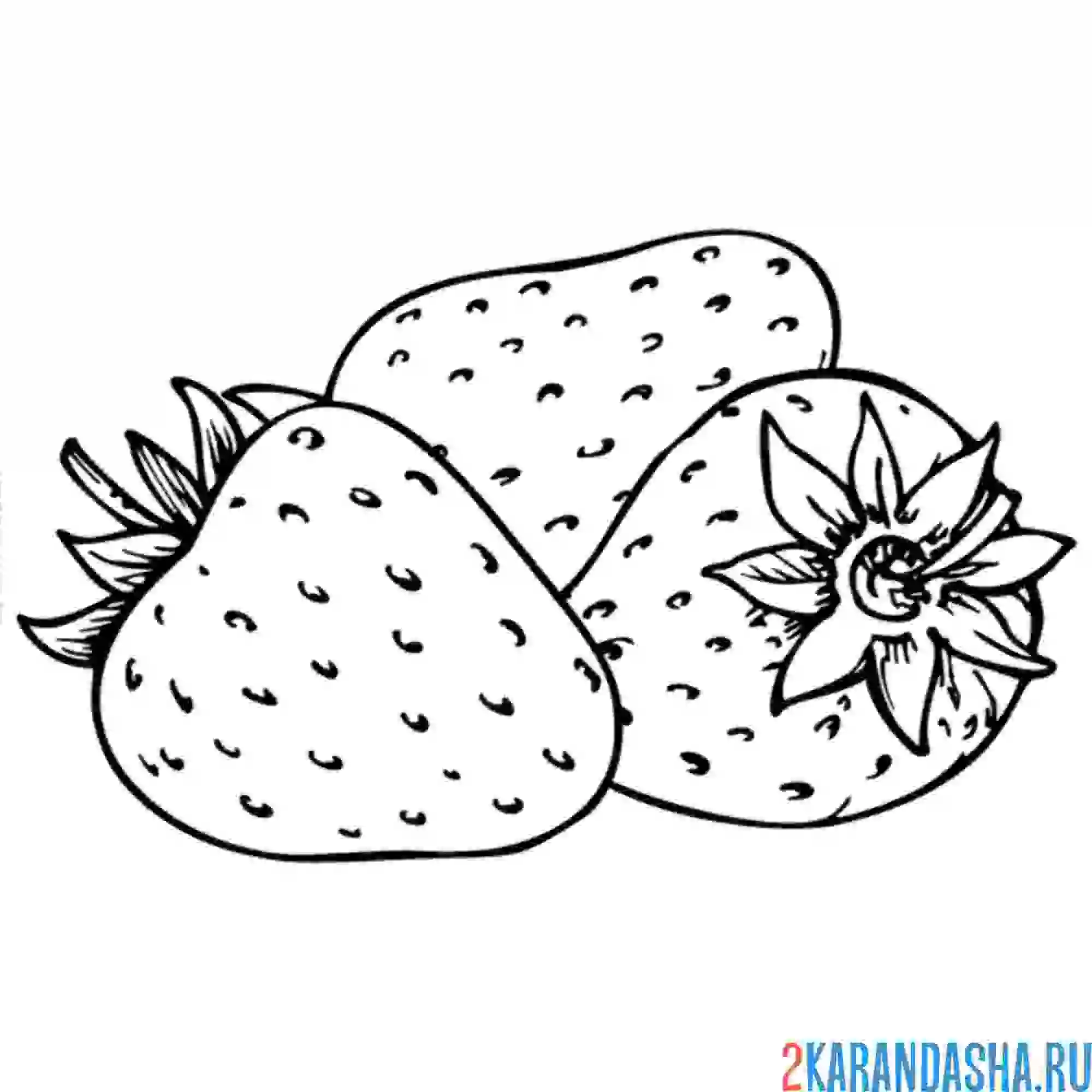 Раскраска сорванная клубника