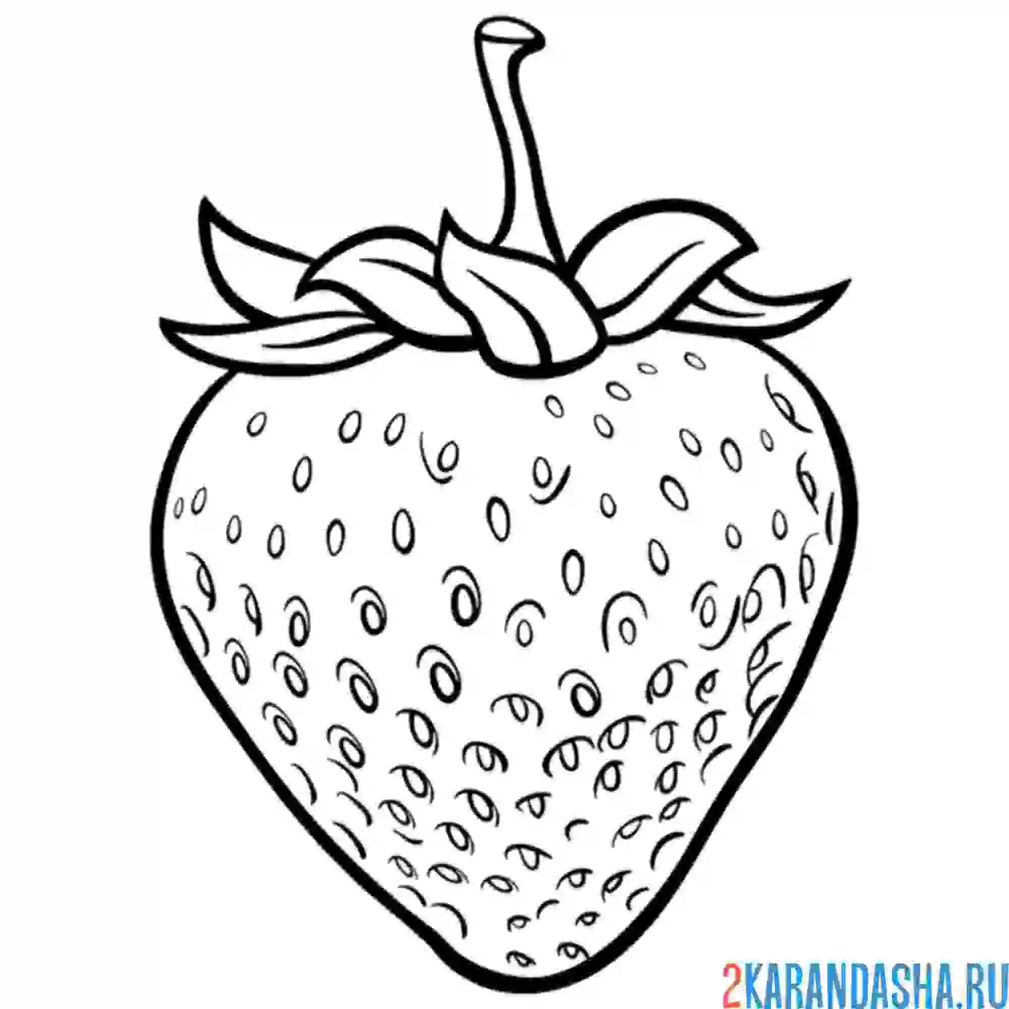 Раскраска клубничка без листьев