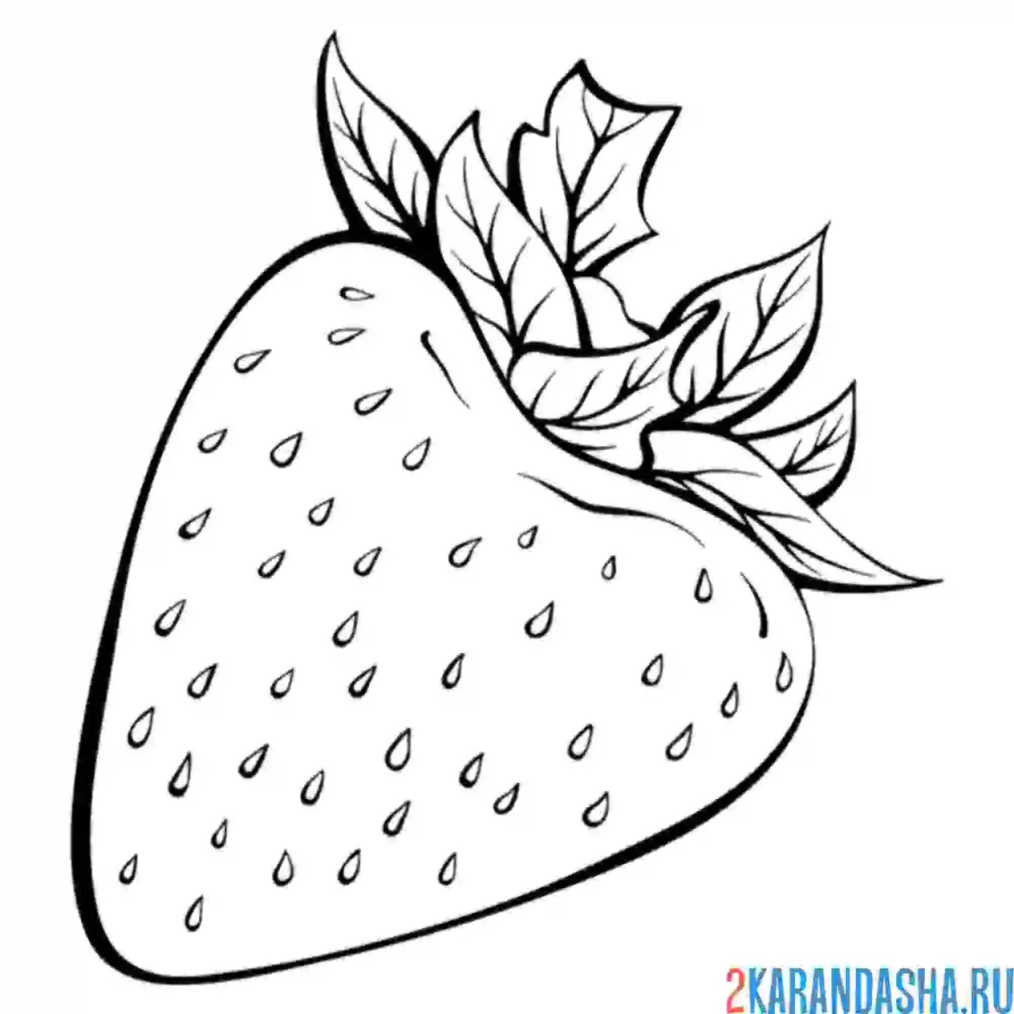 Раскраска рисованная клубника