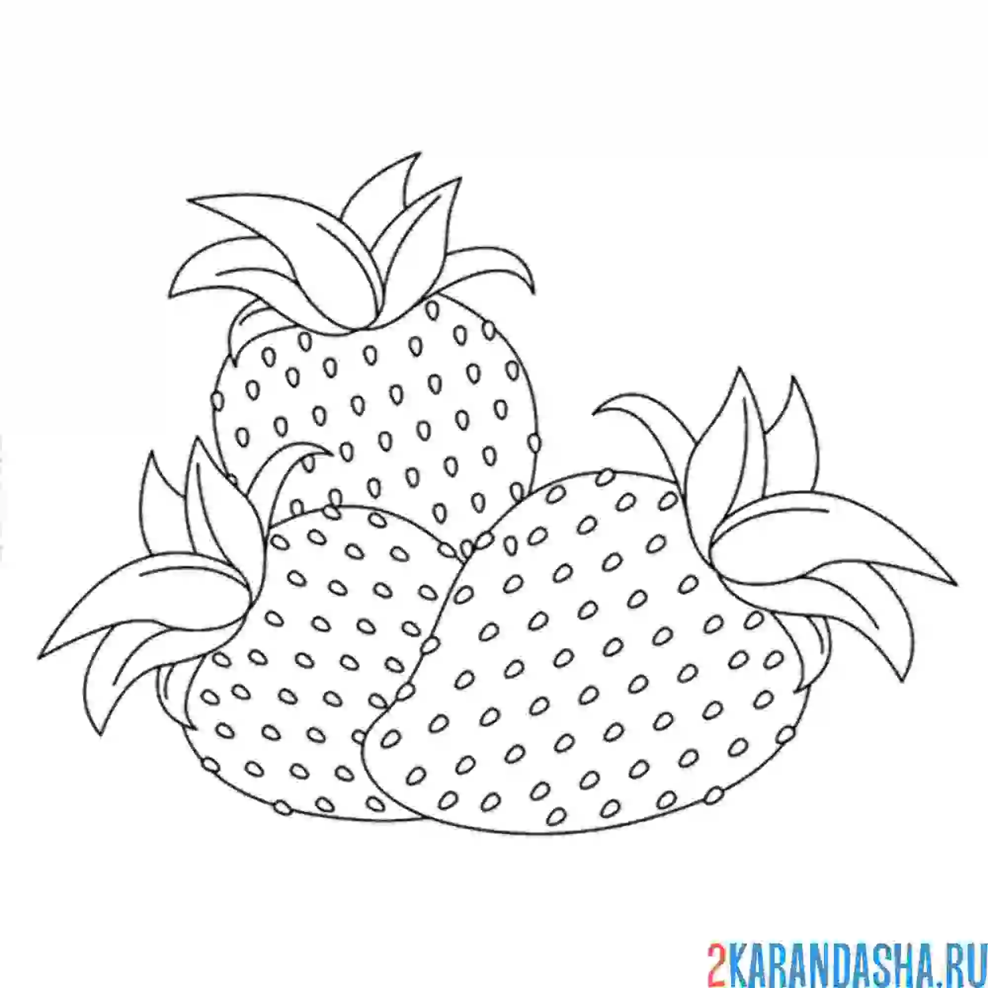 Раскраска клубника для срисовки