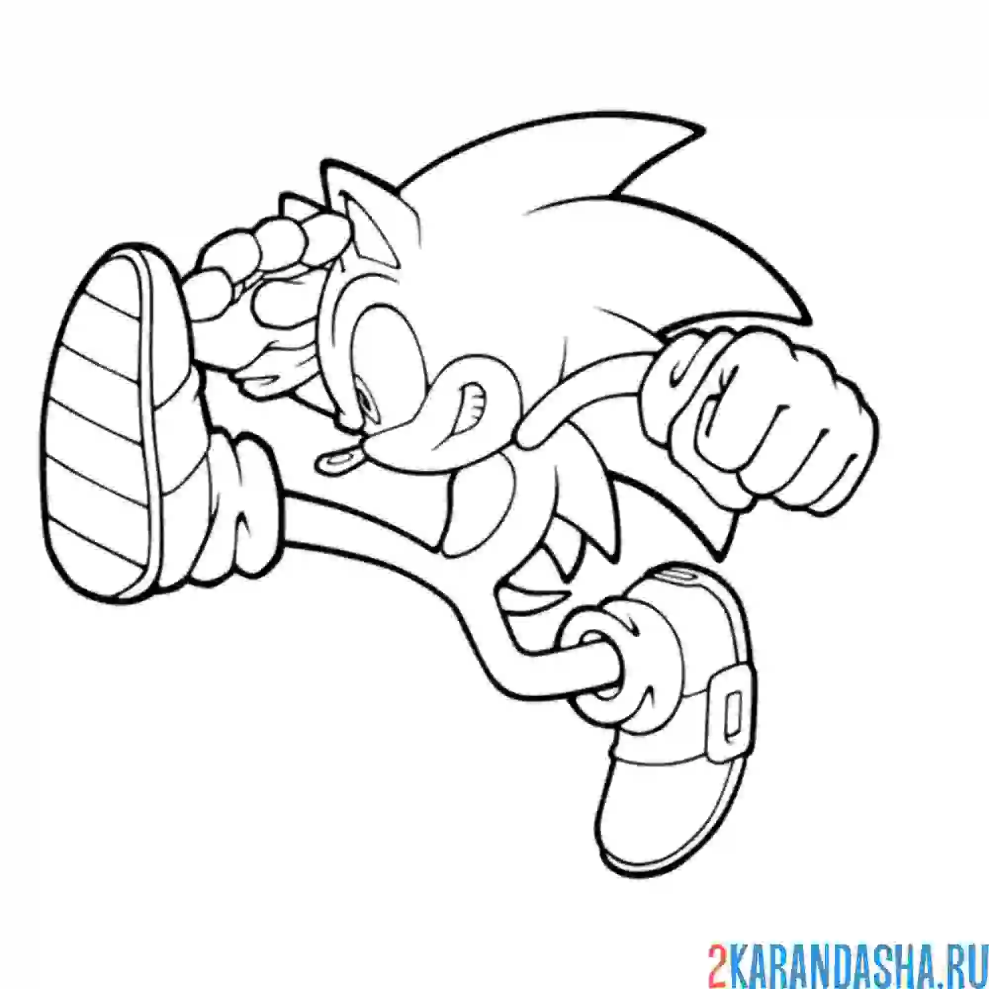 Раскраска сони быстро