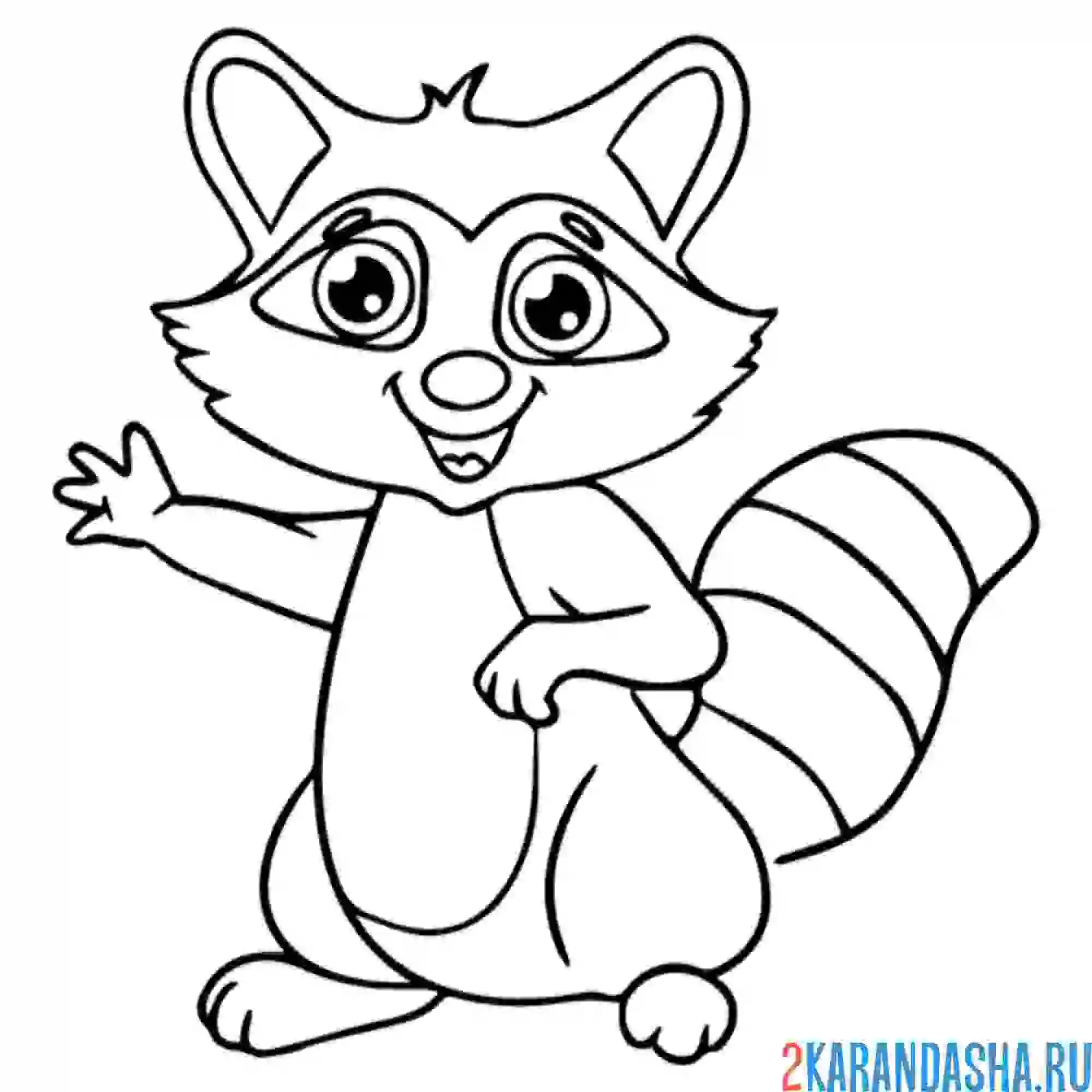 Раскраска енот машет