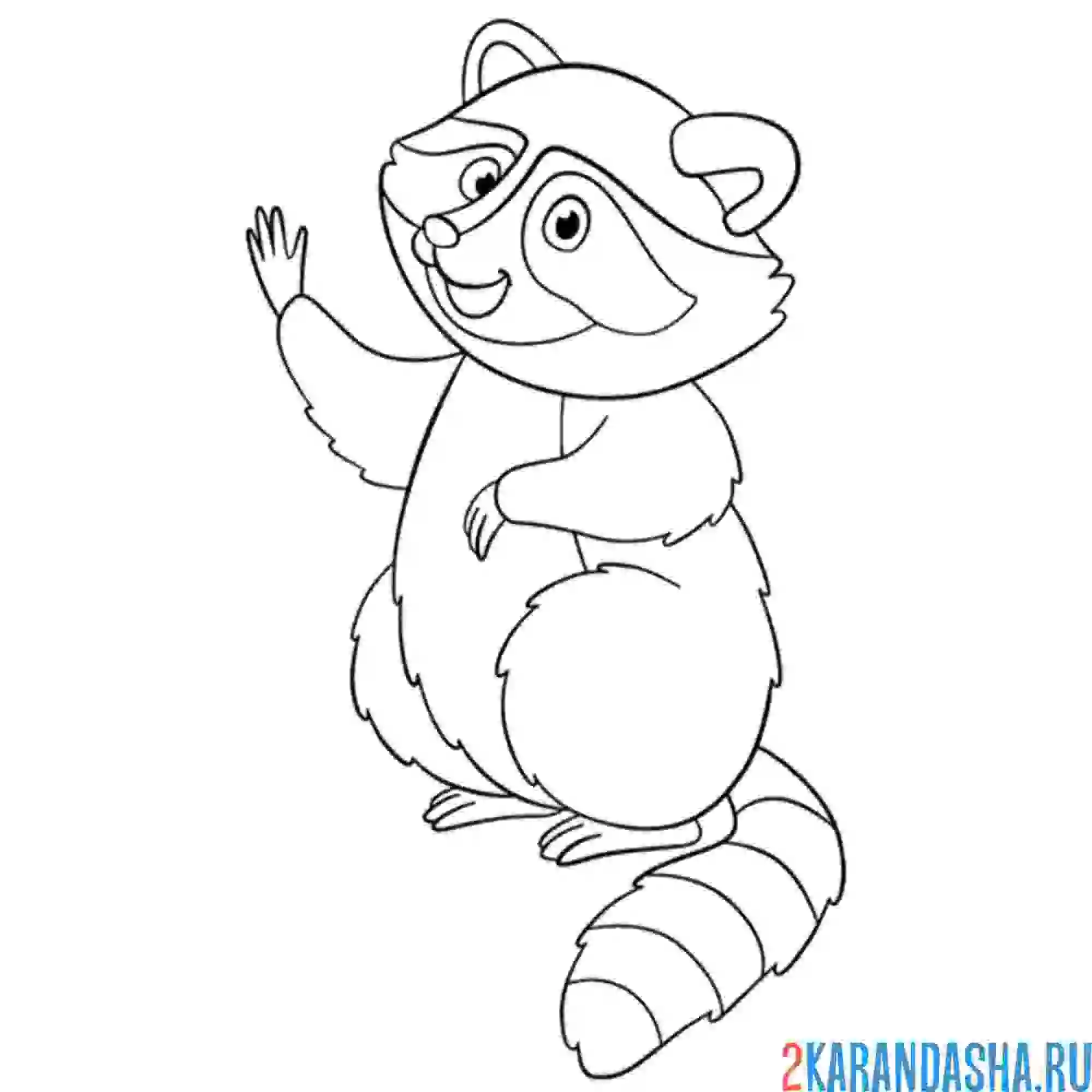 Раскраска енот передает привет
