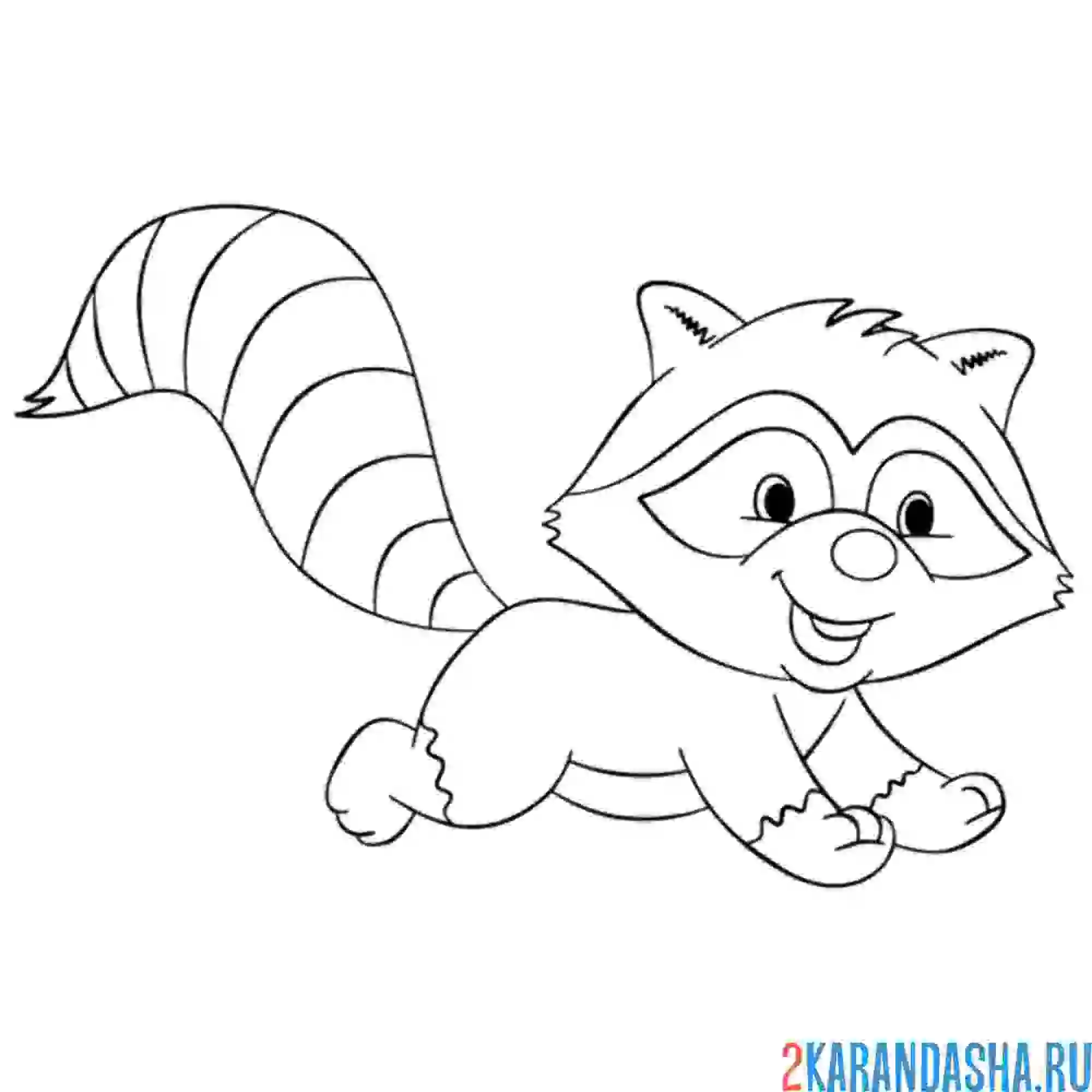 Раскраска енот бежит