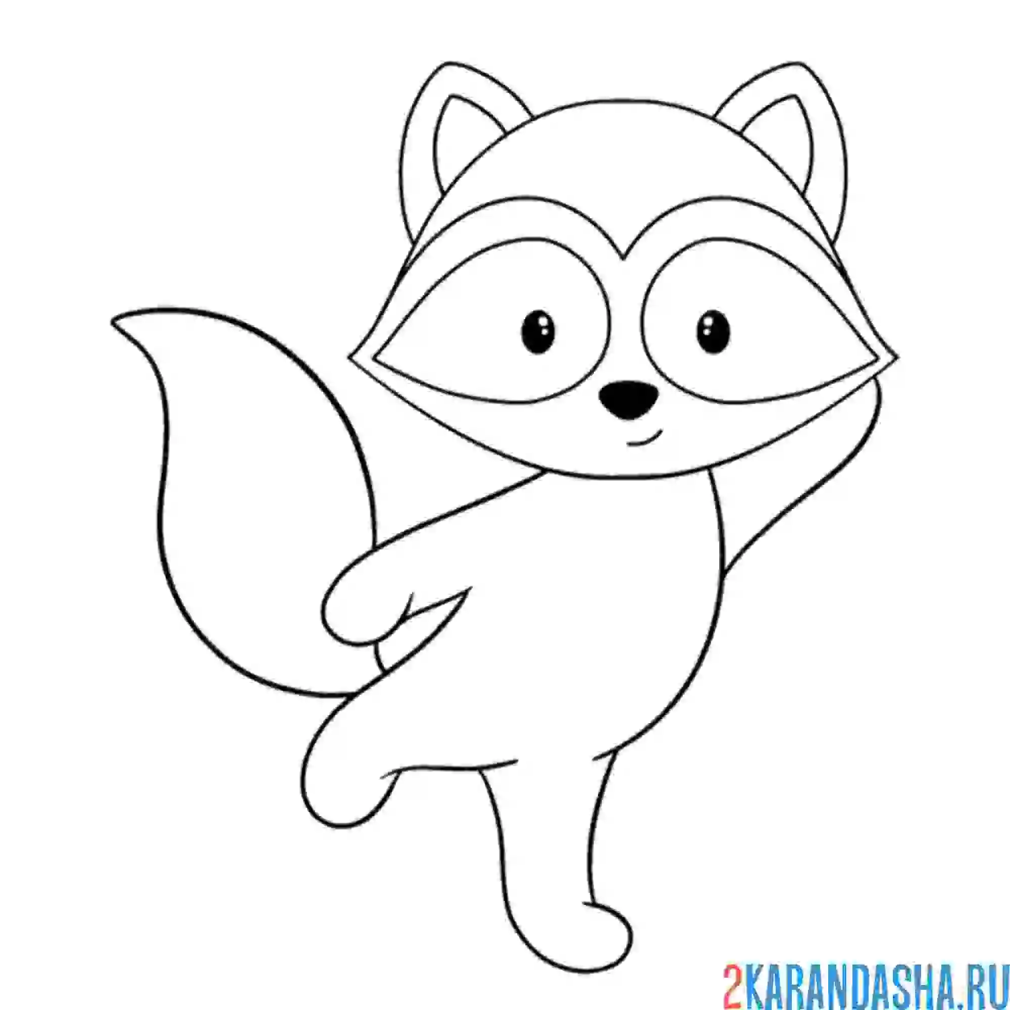 Раскраска енот йога