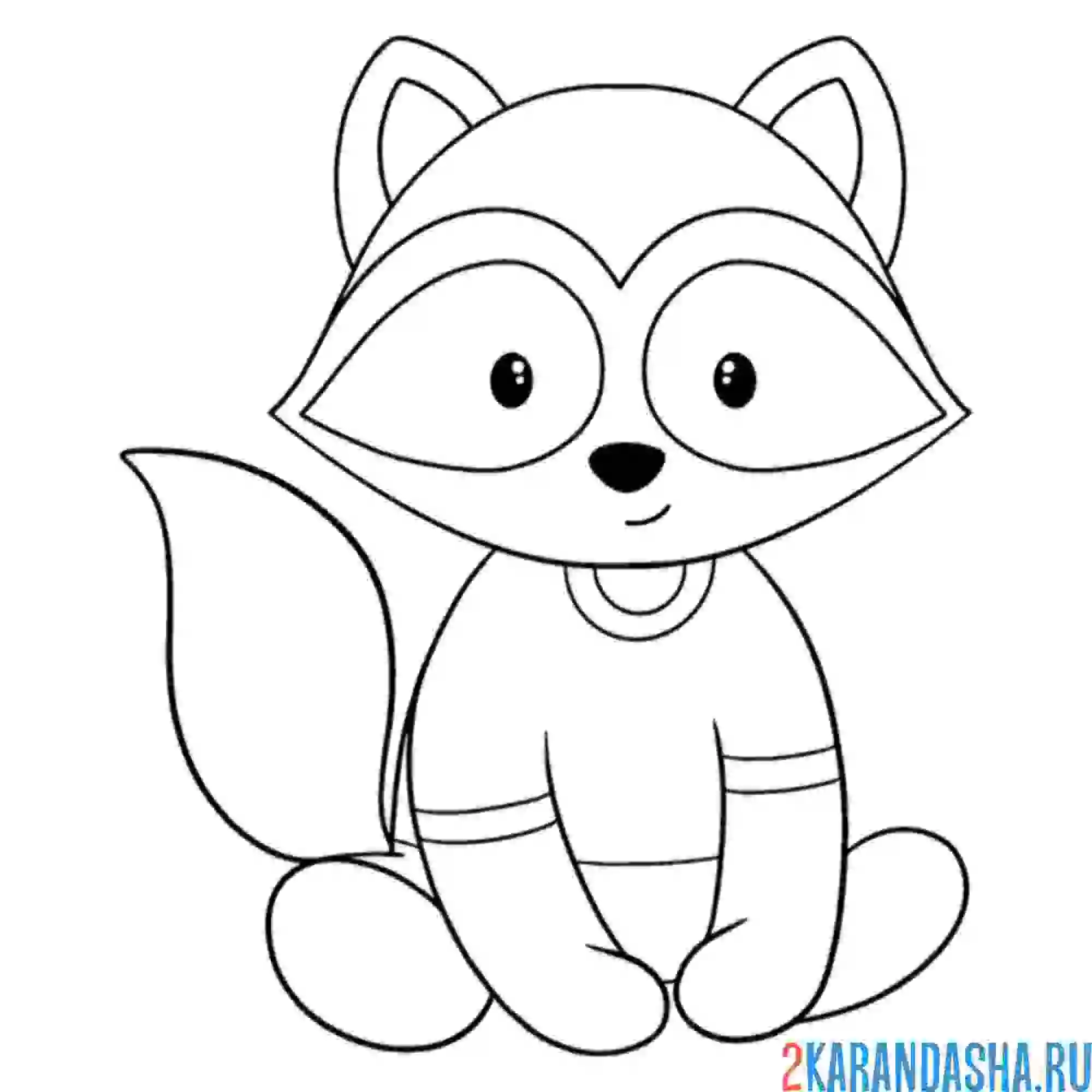 Раскраска енот в футболке