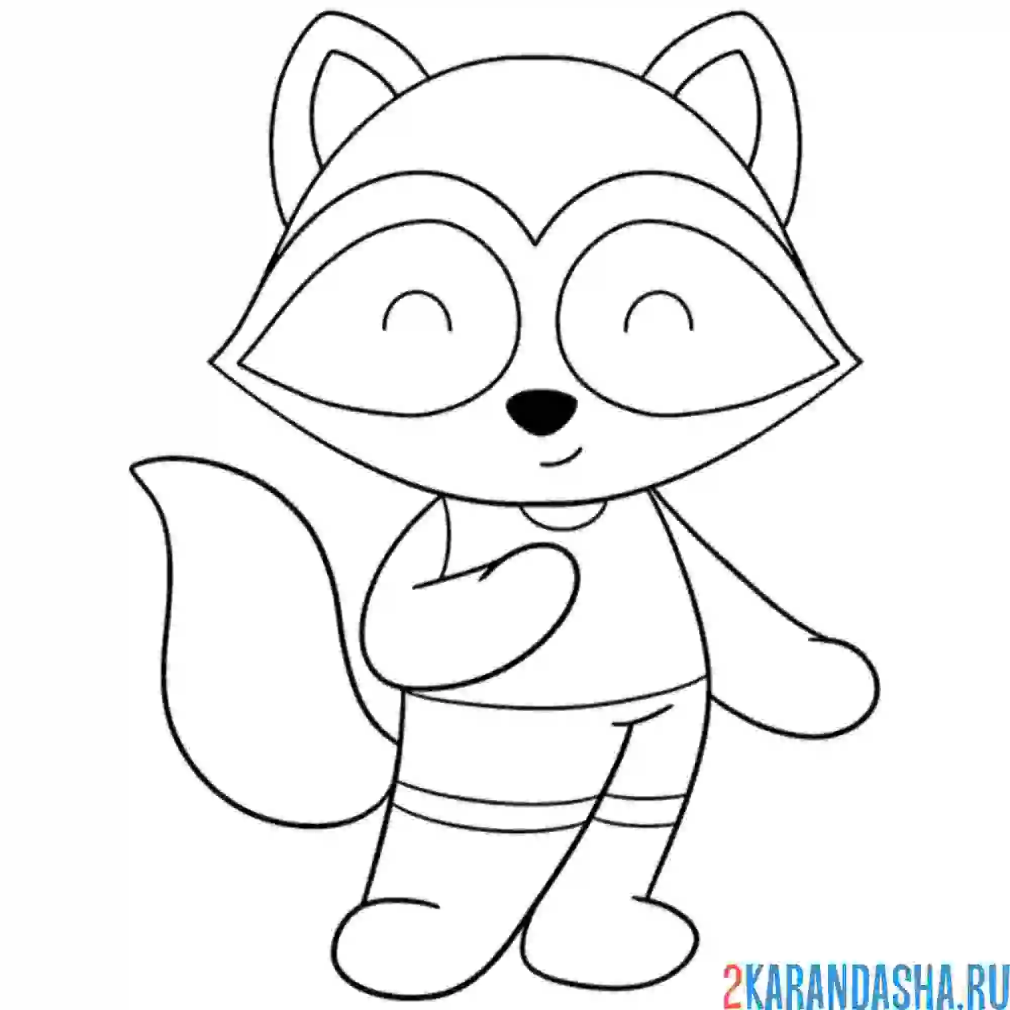Раскраска енот мальчик в шортах